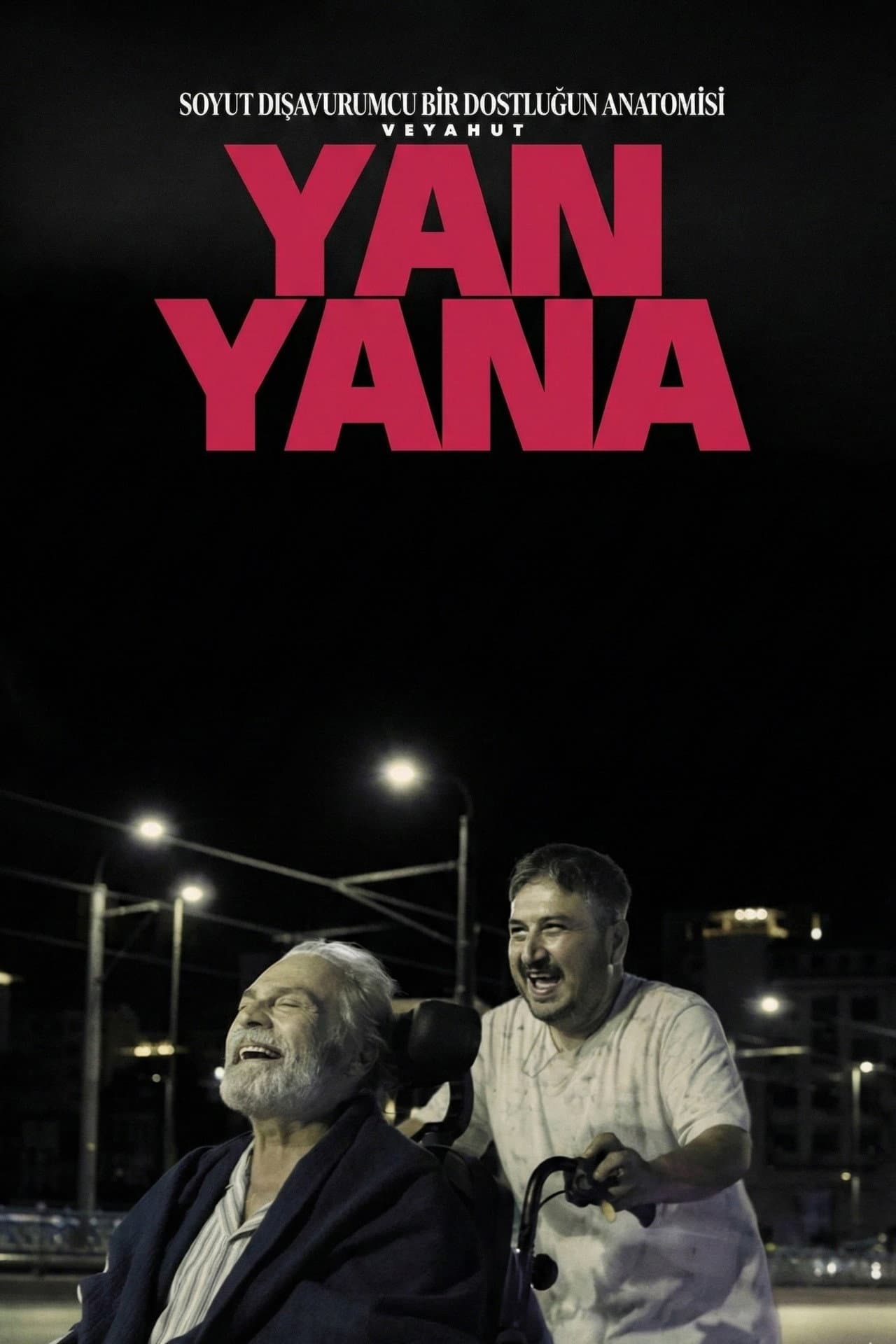 Soyut Dışavurumcu Bir Dostluğun Anatomisi Veyahut Yan Yana preview 2