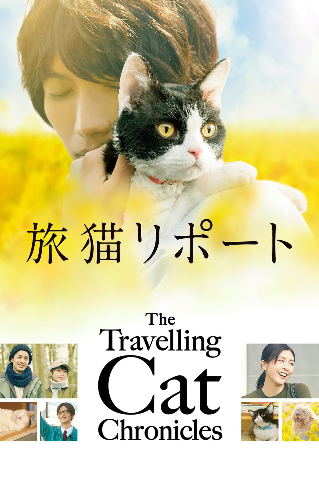 The Travelling Cat Chronicles preview 2