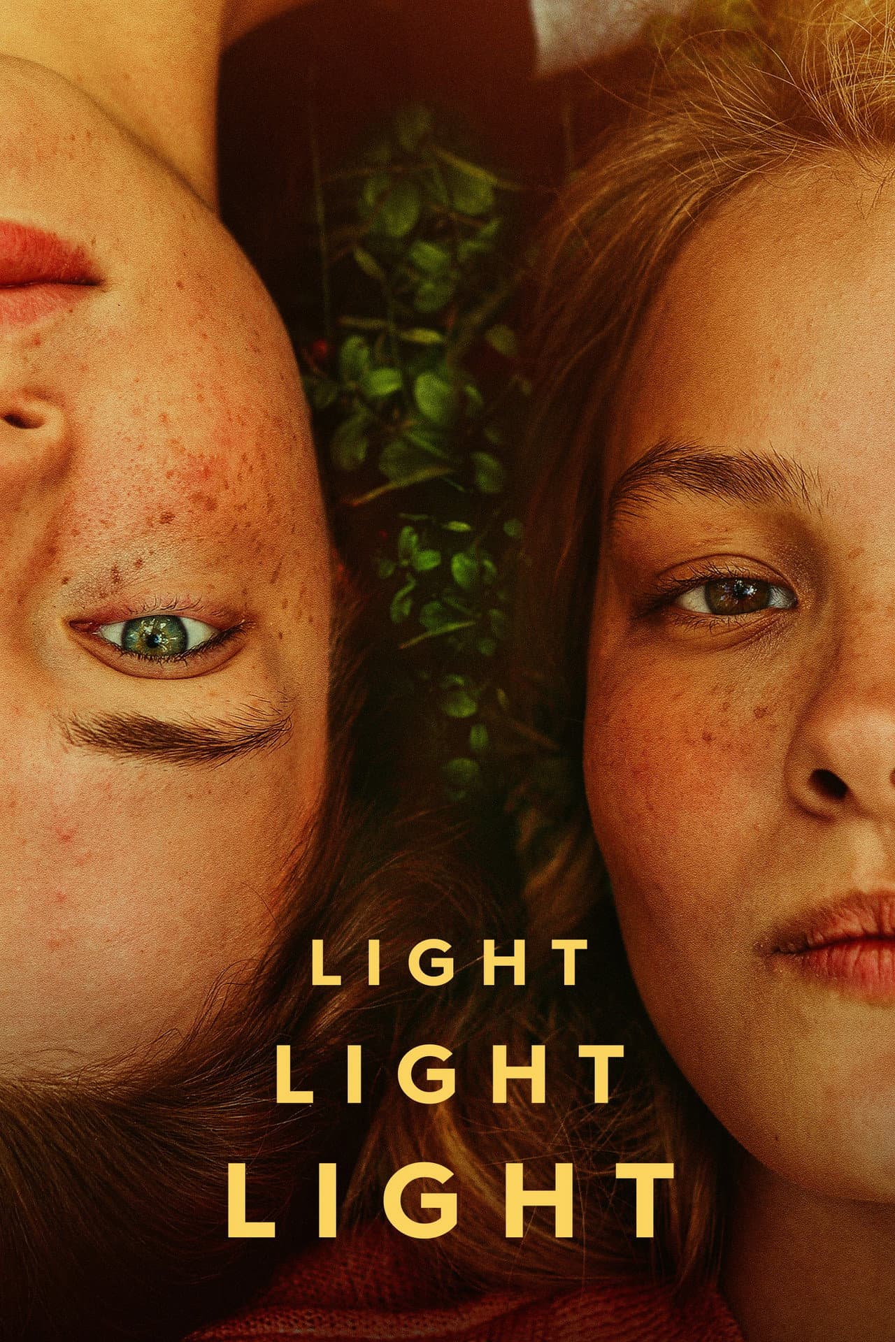Light Light Light preview 2