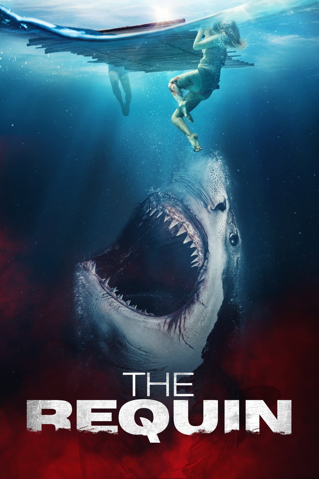 The Requin preview 2