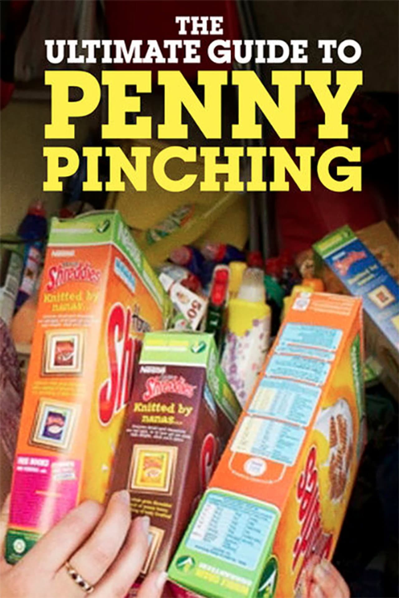 The Ultimate Guide to Penny Pinching preview 2