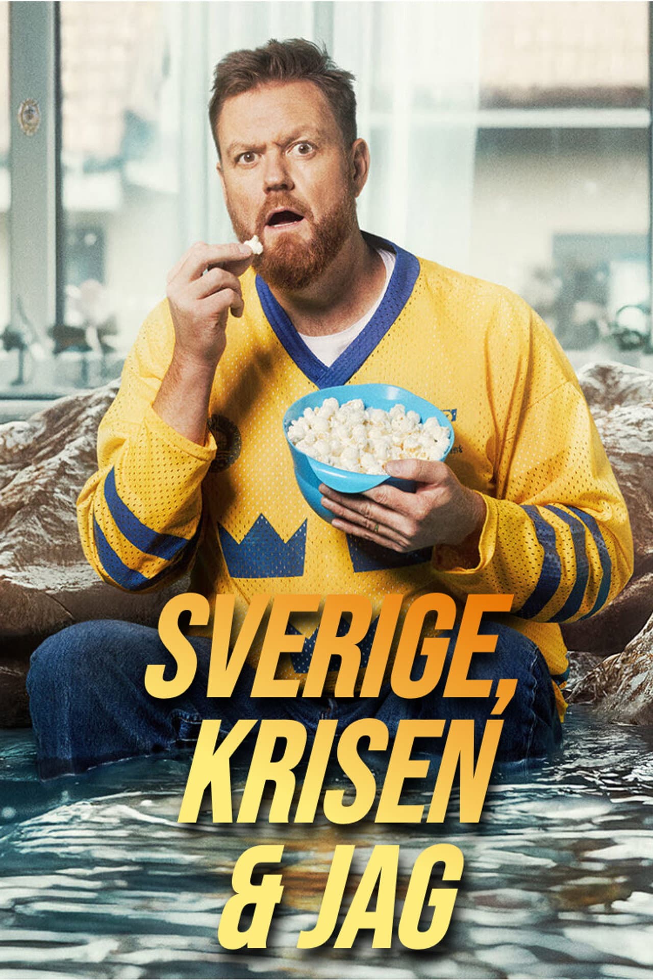 Sverige, krisen och jag preview 2