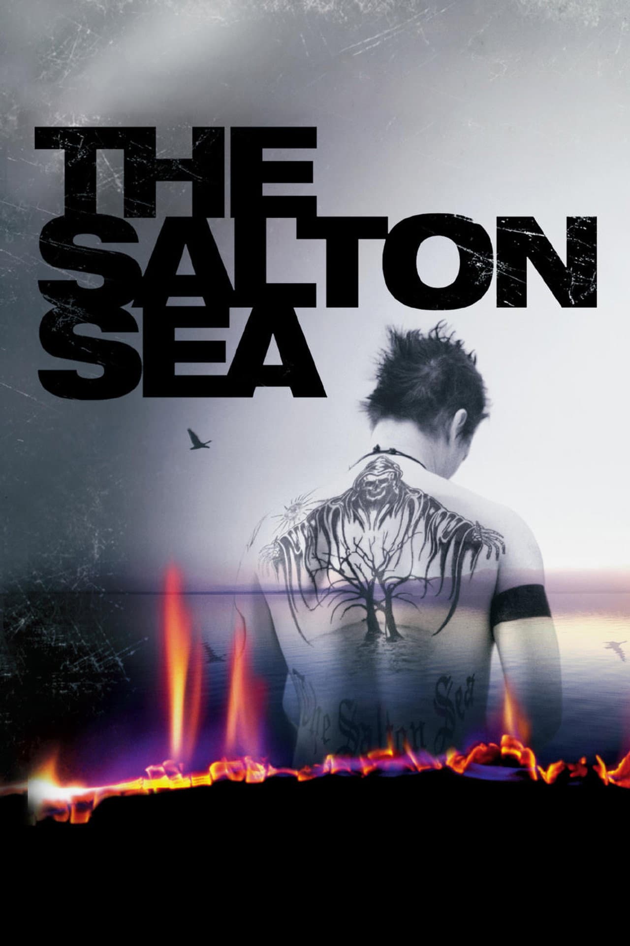 The Salton Sea preview 2