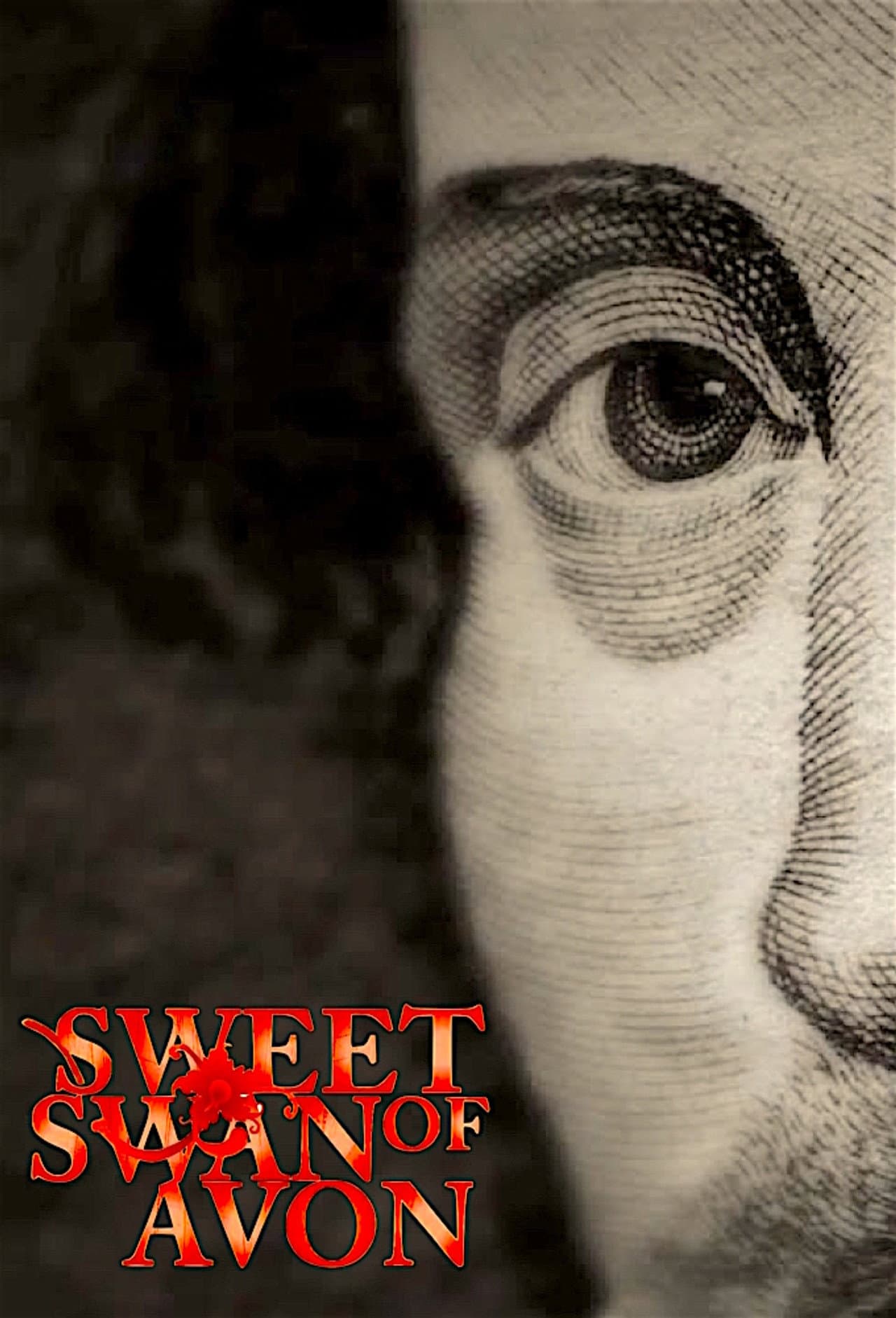 Shakespeare's Hidden Codes preview 2
