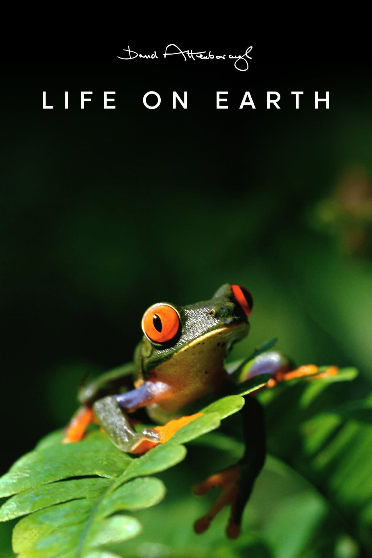 Life on Earth preview 2