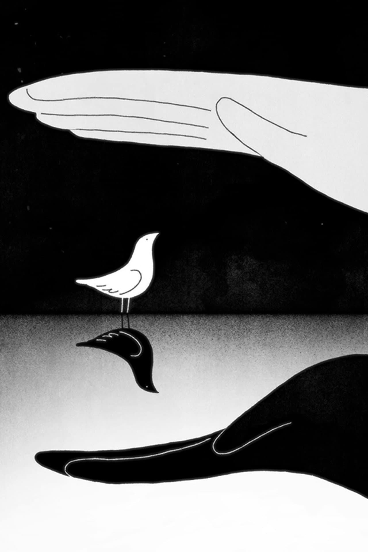 Bird & Shadow preview 1