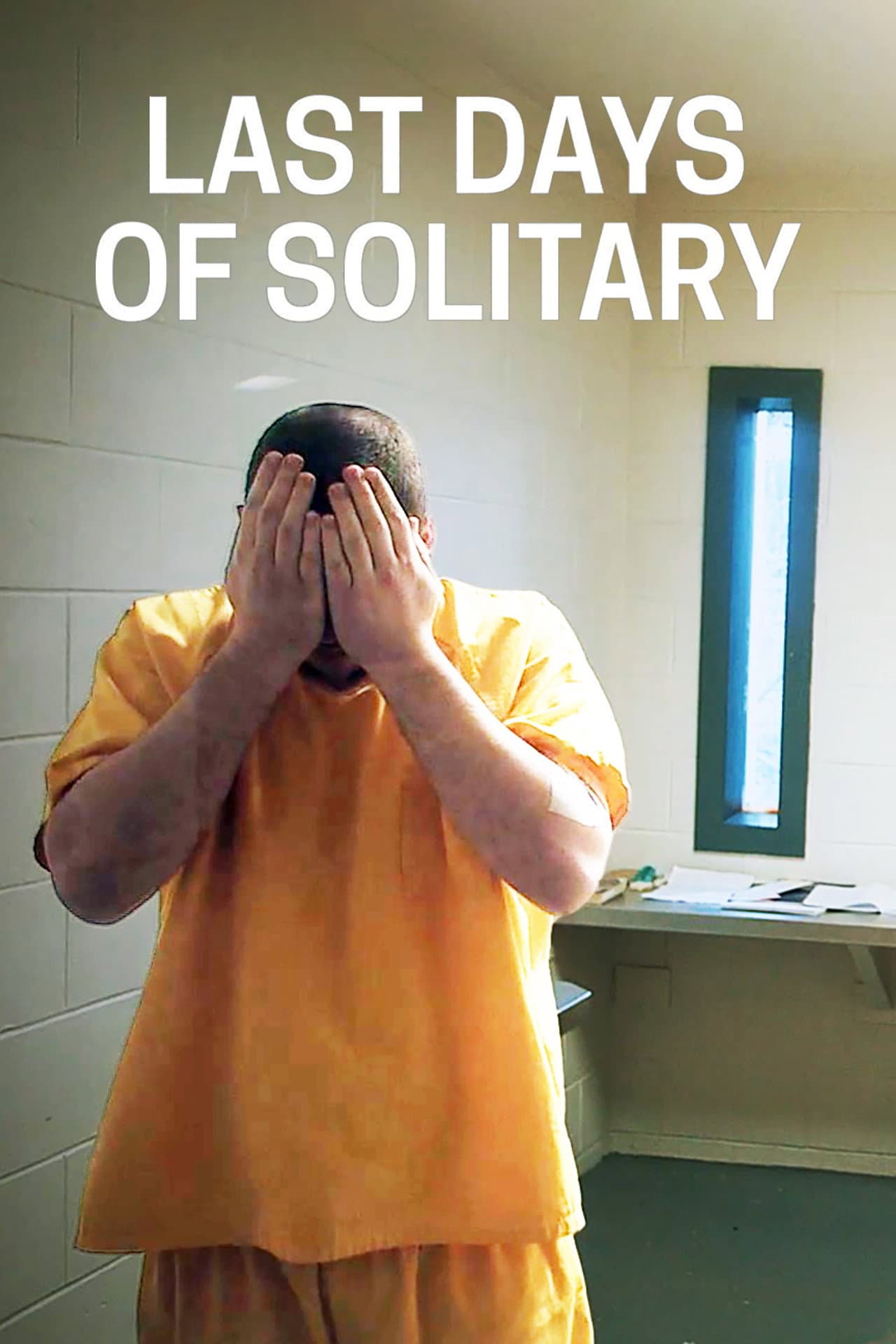Last Days of Solitary preview 1