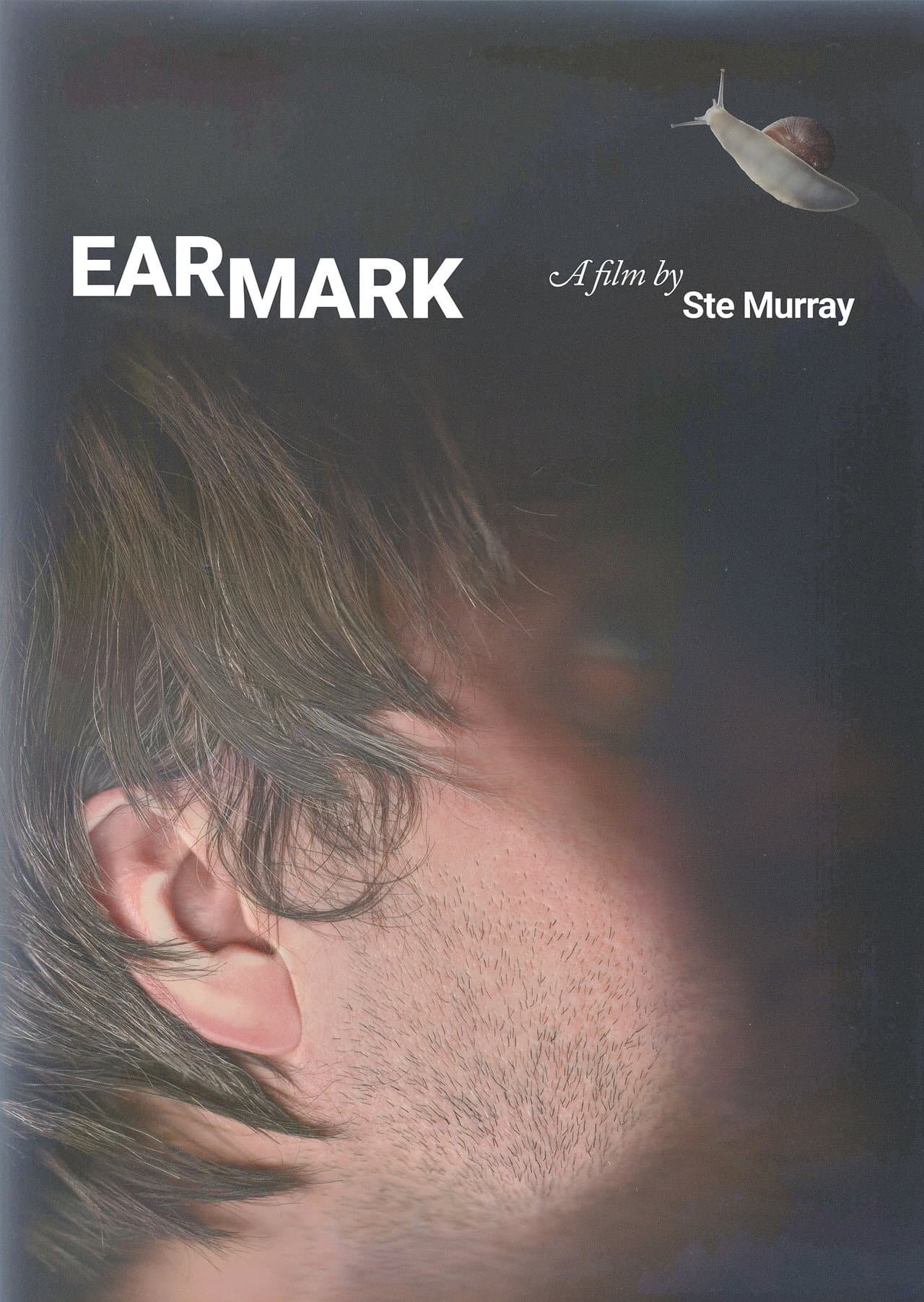 Earmark preview 2