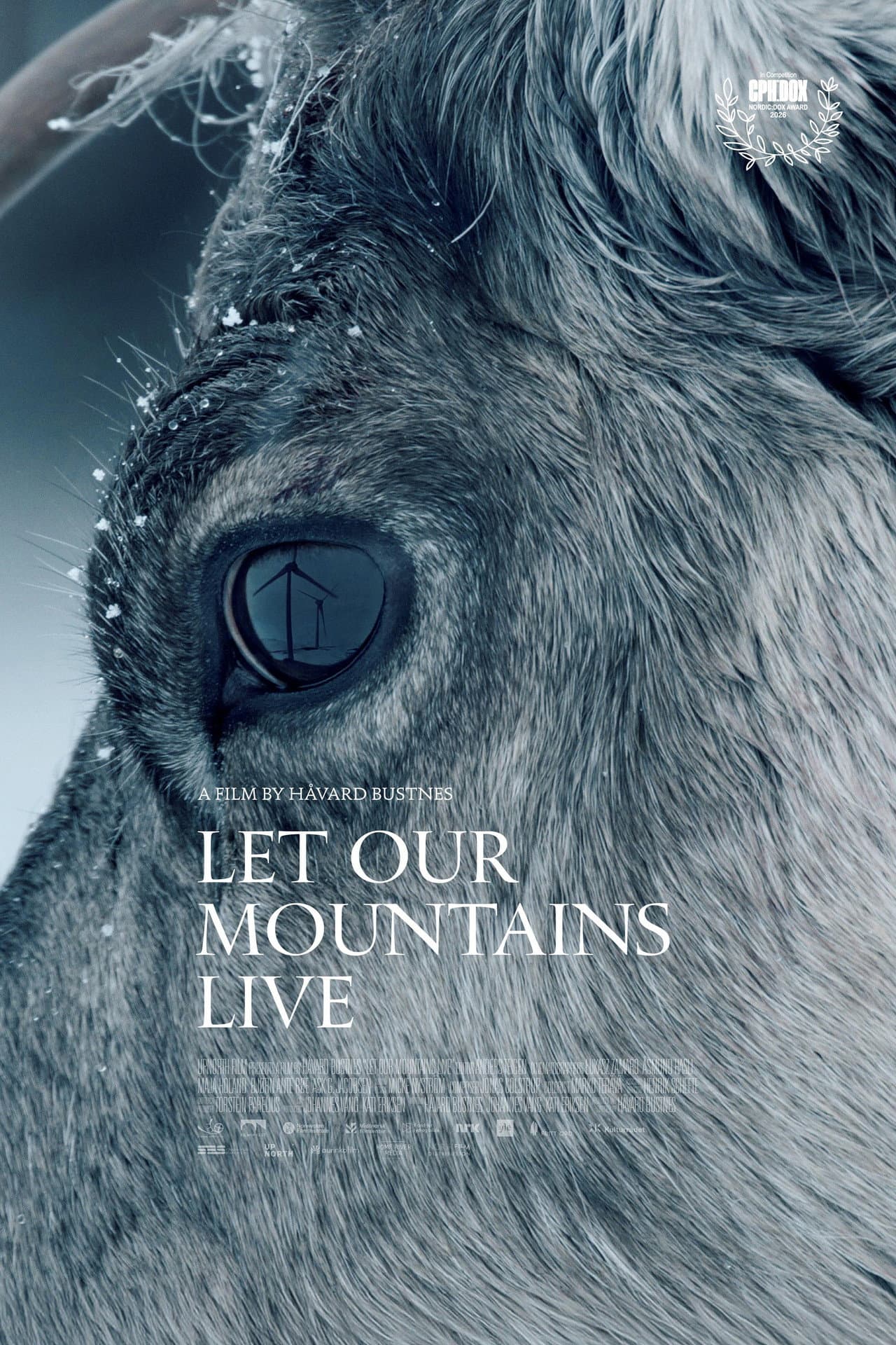 Let Our Mountains Live preview 2