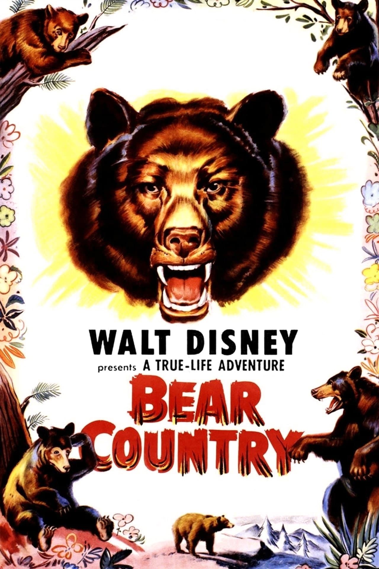 Bear Country preview 2