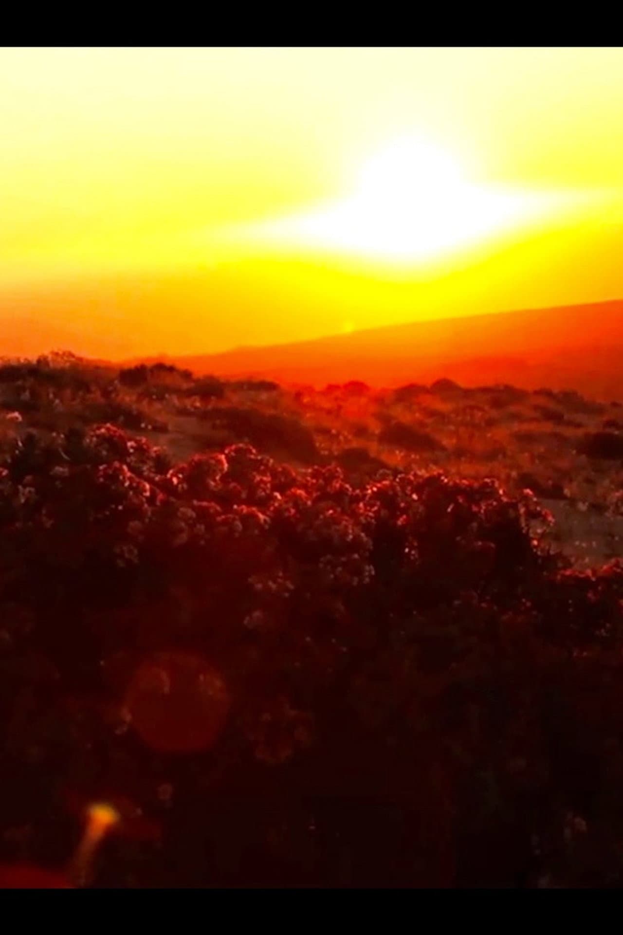 Todos tienen algo Desierto preview 2
