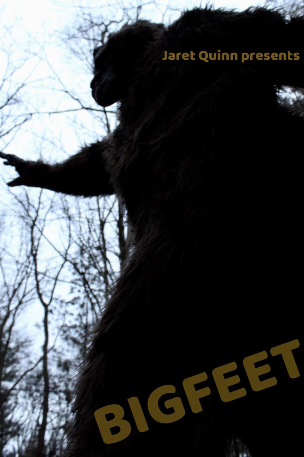 BIGFEET preview 1