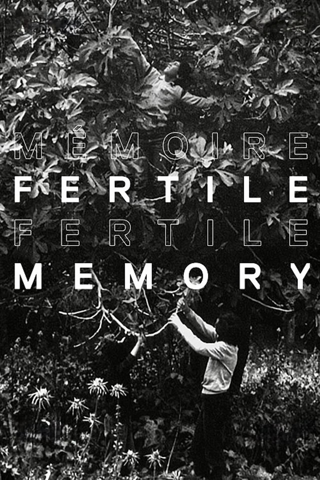 Fertile Memory preview 2