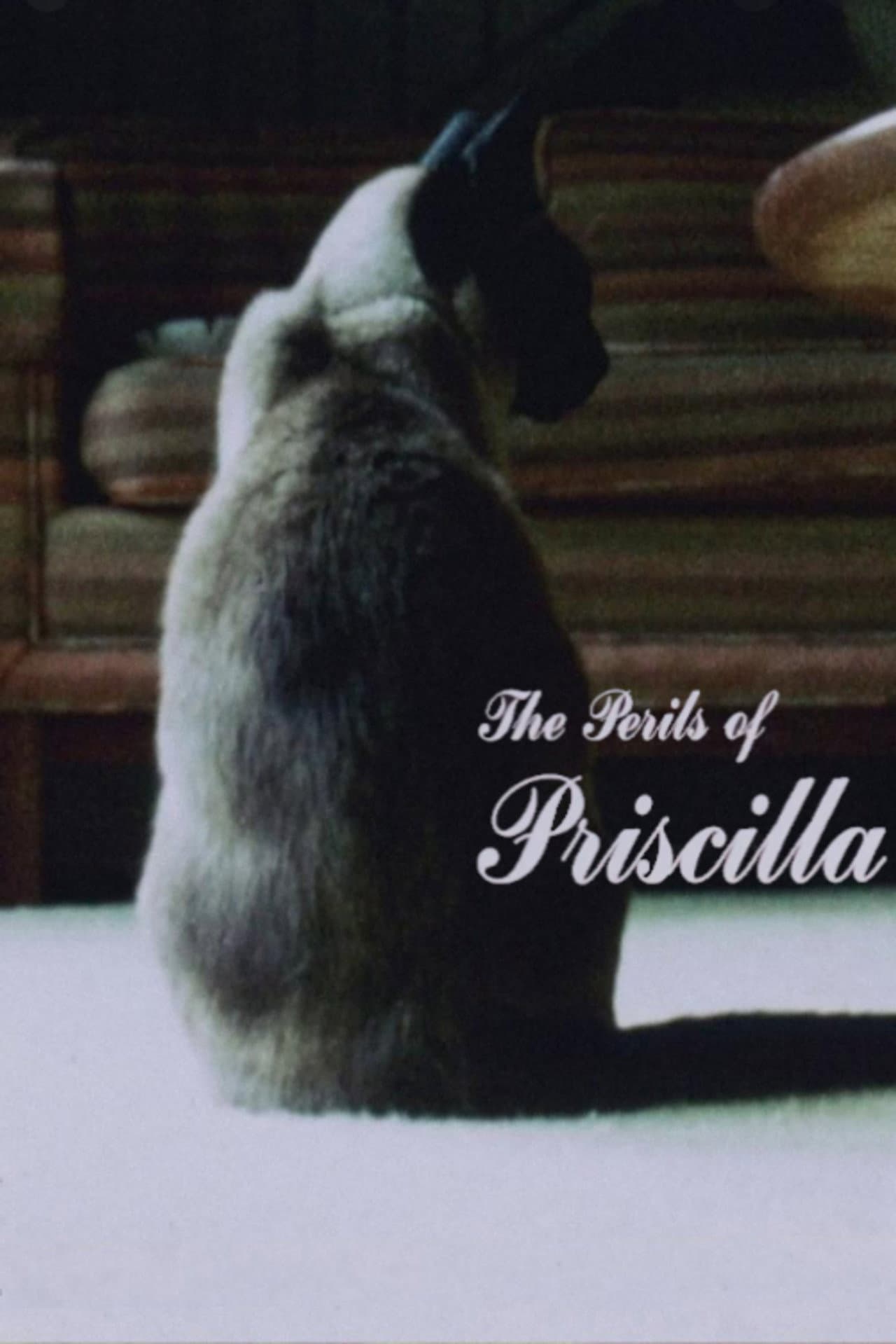 The Perils of Priscilla preview 2