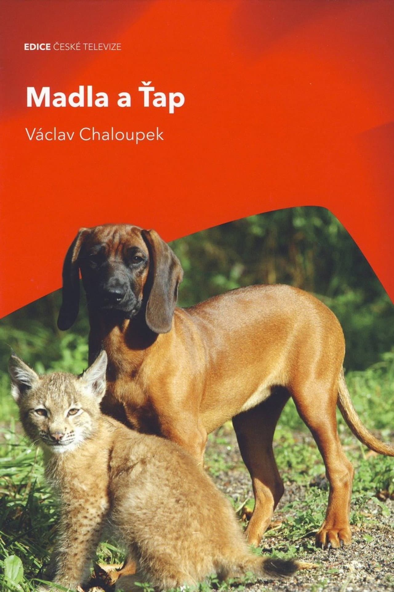 Madla a Ťap preview 2
