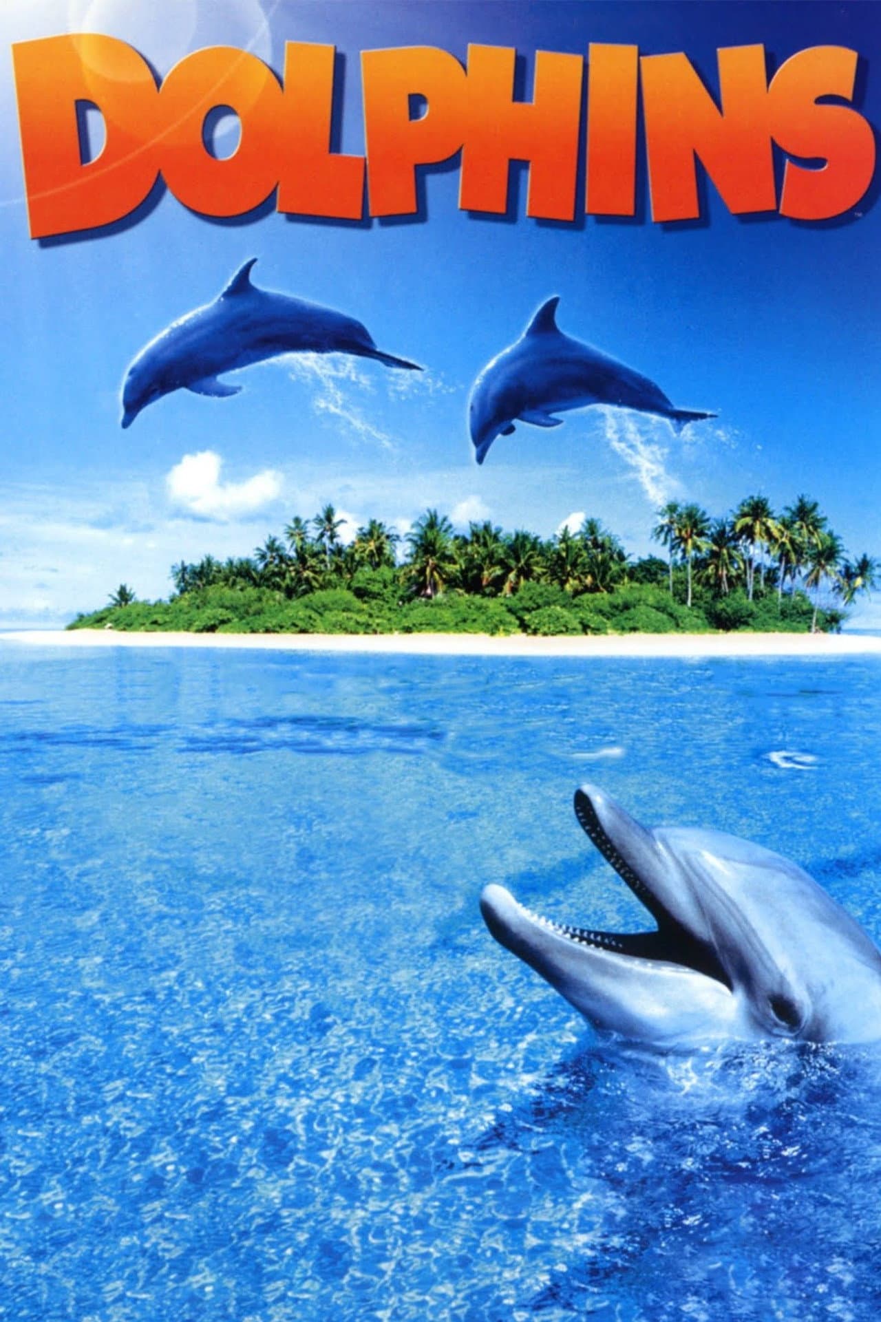 Dolphins preview 2