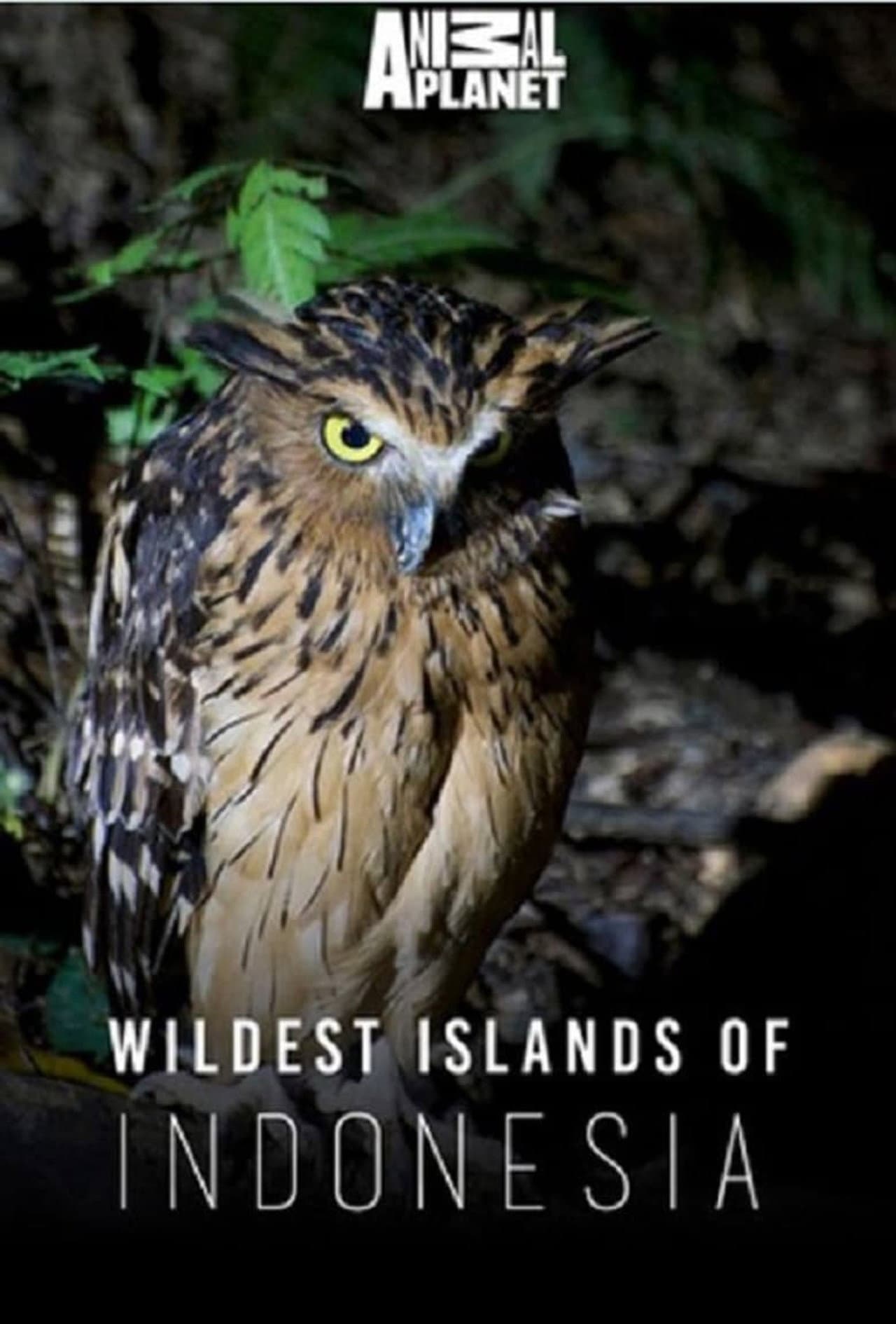 Wildest Islands of Indonesia preview 2