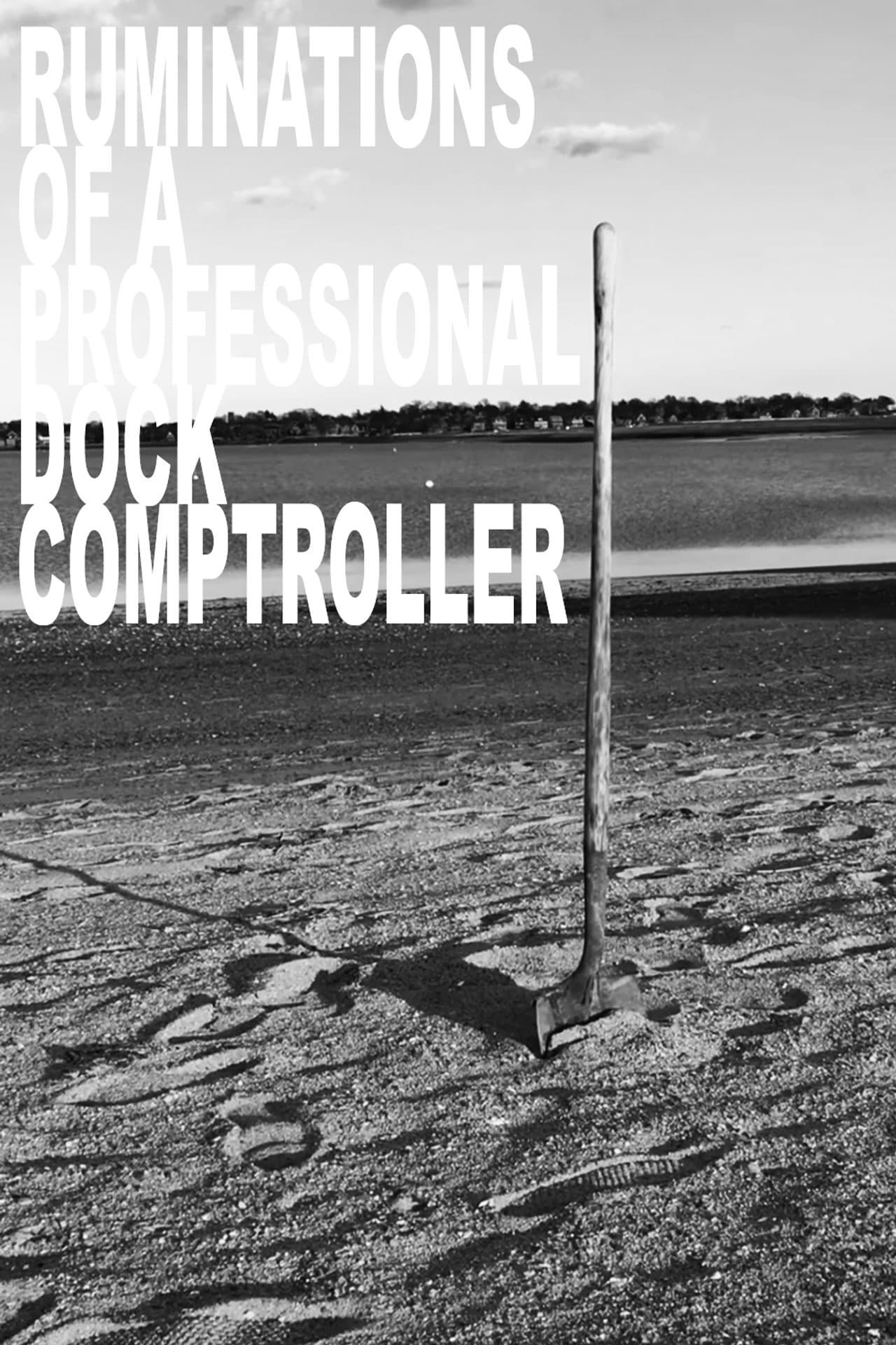 Ruminations of a Professional Dock Comptroller preview 1