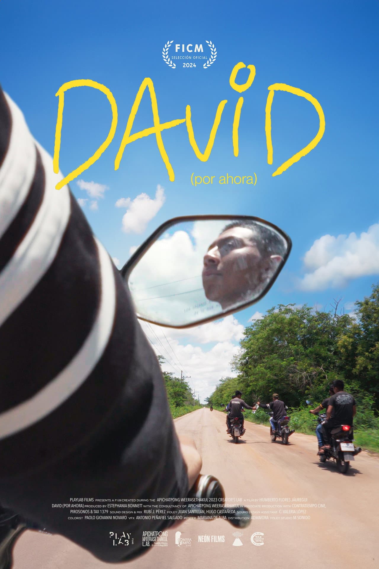 David (For Now) preview 2