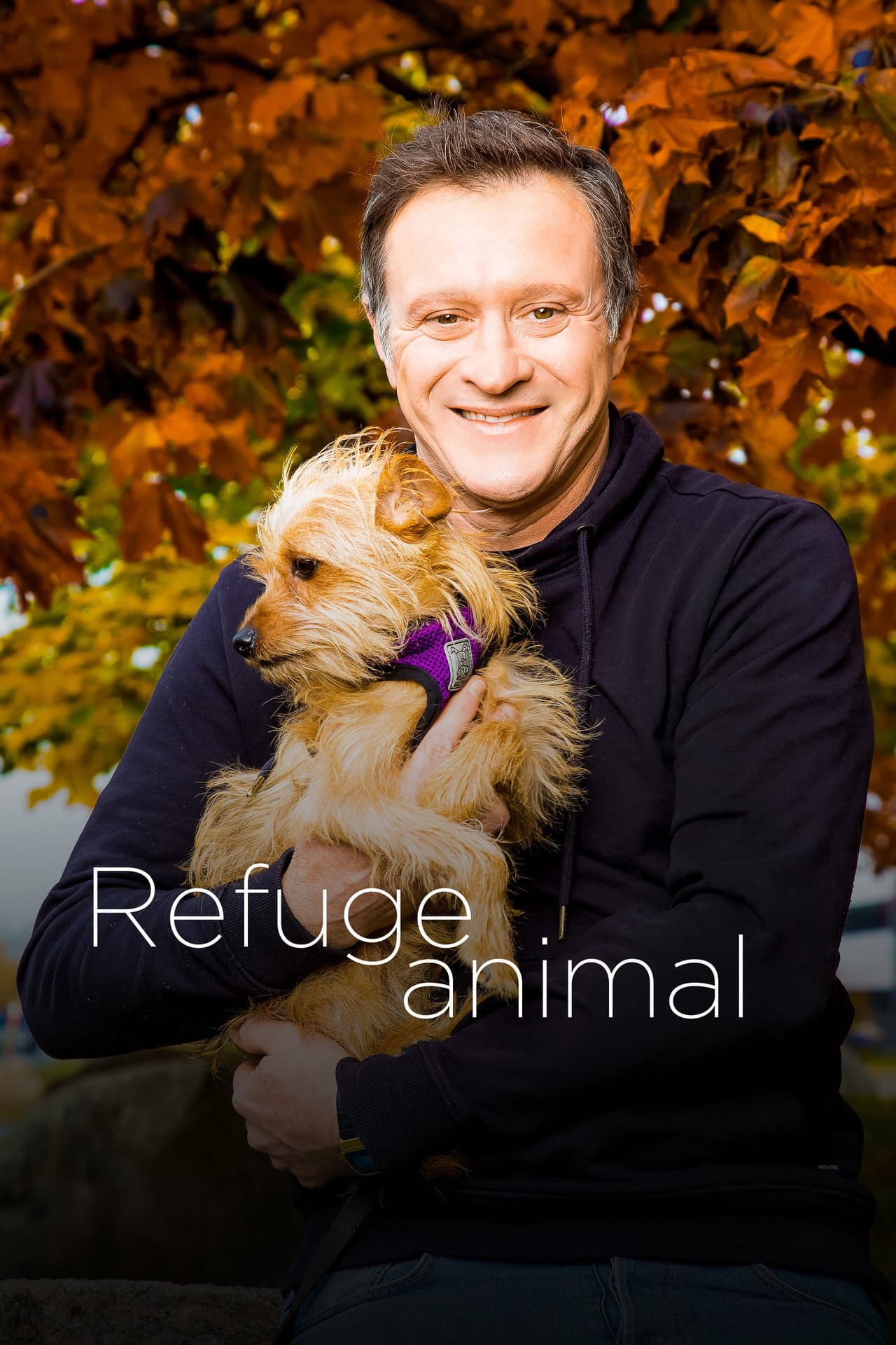 Animal Shelter preview 2