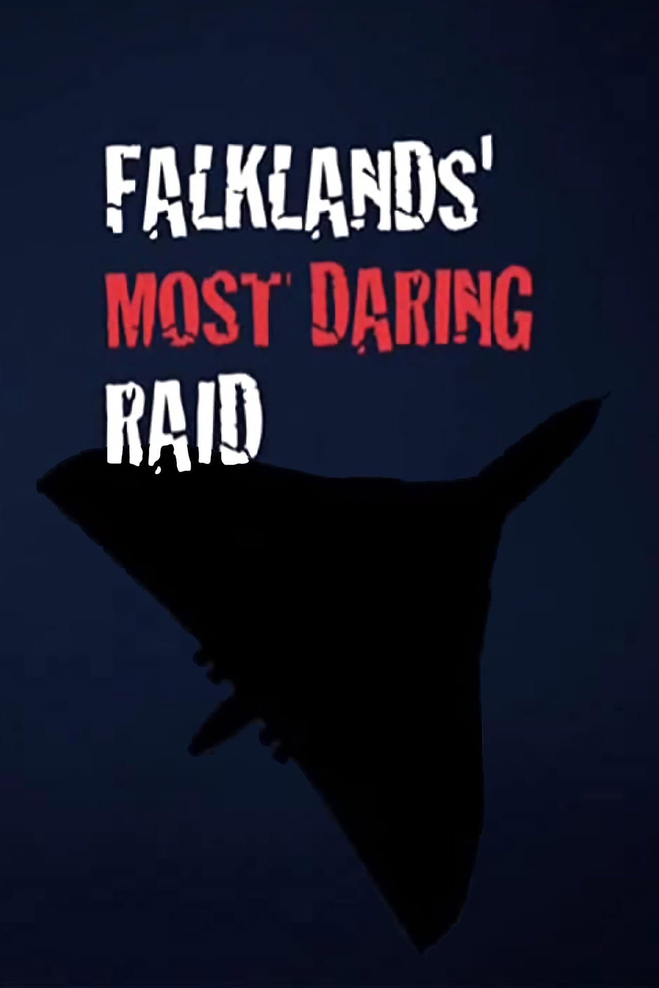 Falklands' Most Daring Raid preview 2