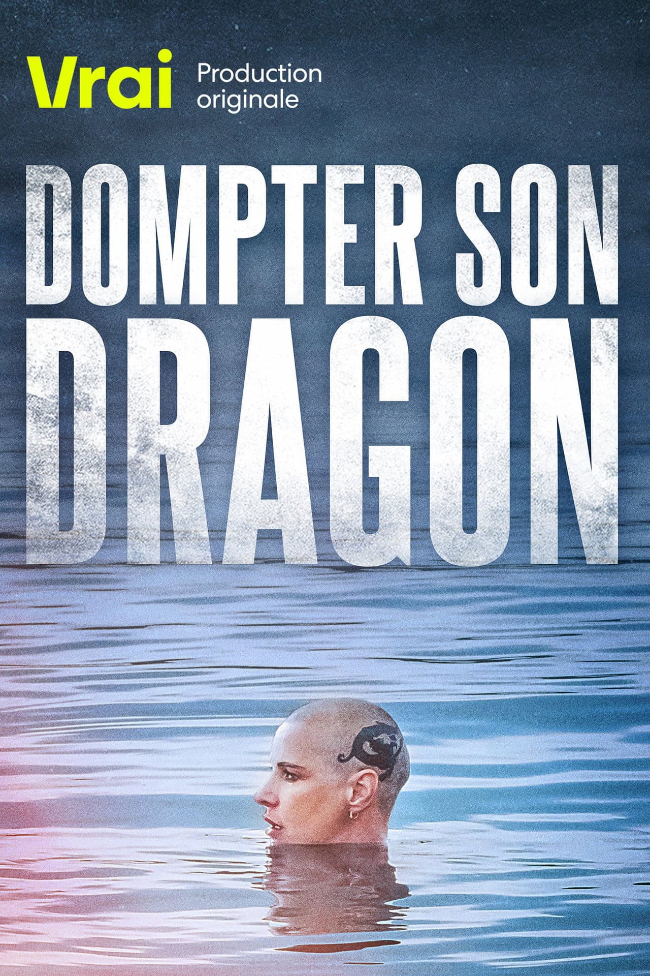 Dompter son dragon preview 2