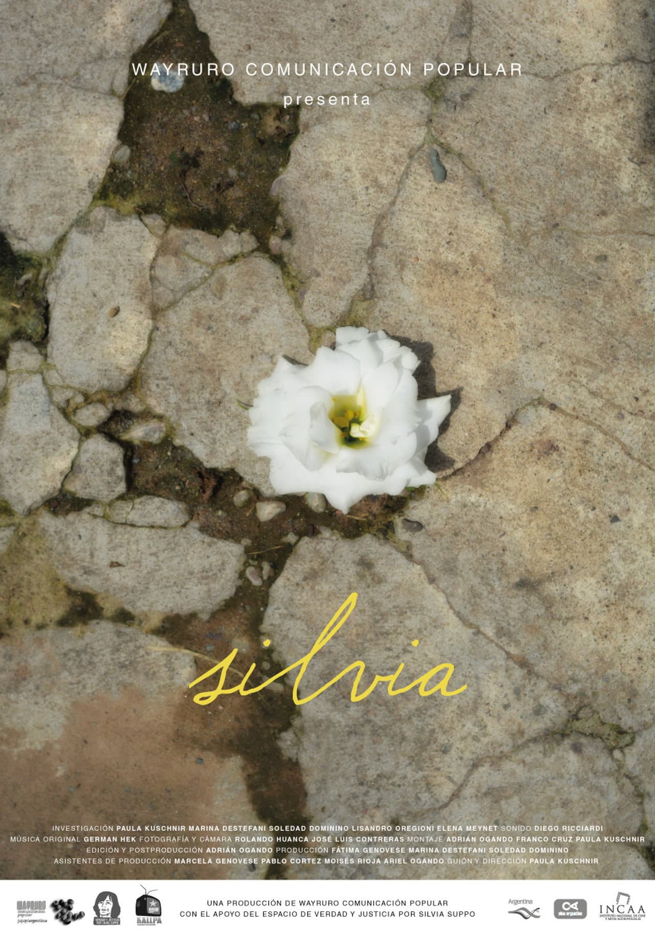 Silvia preview 1