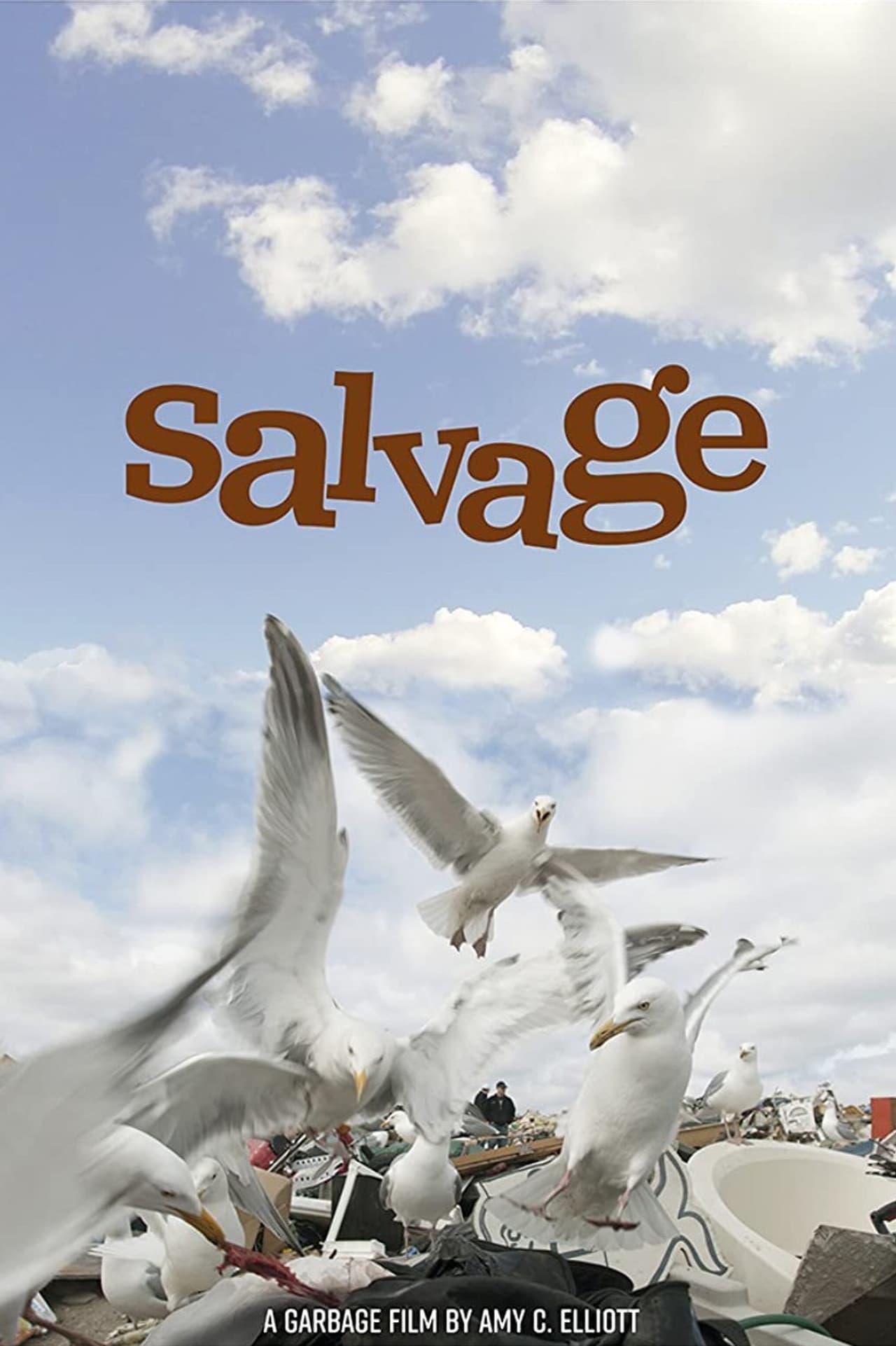 Salvage preview 1