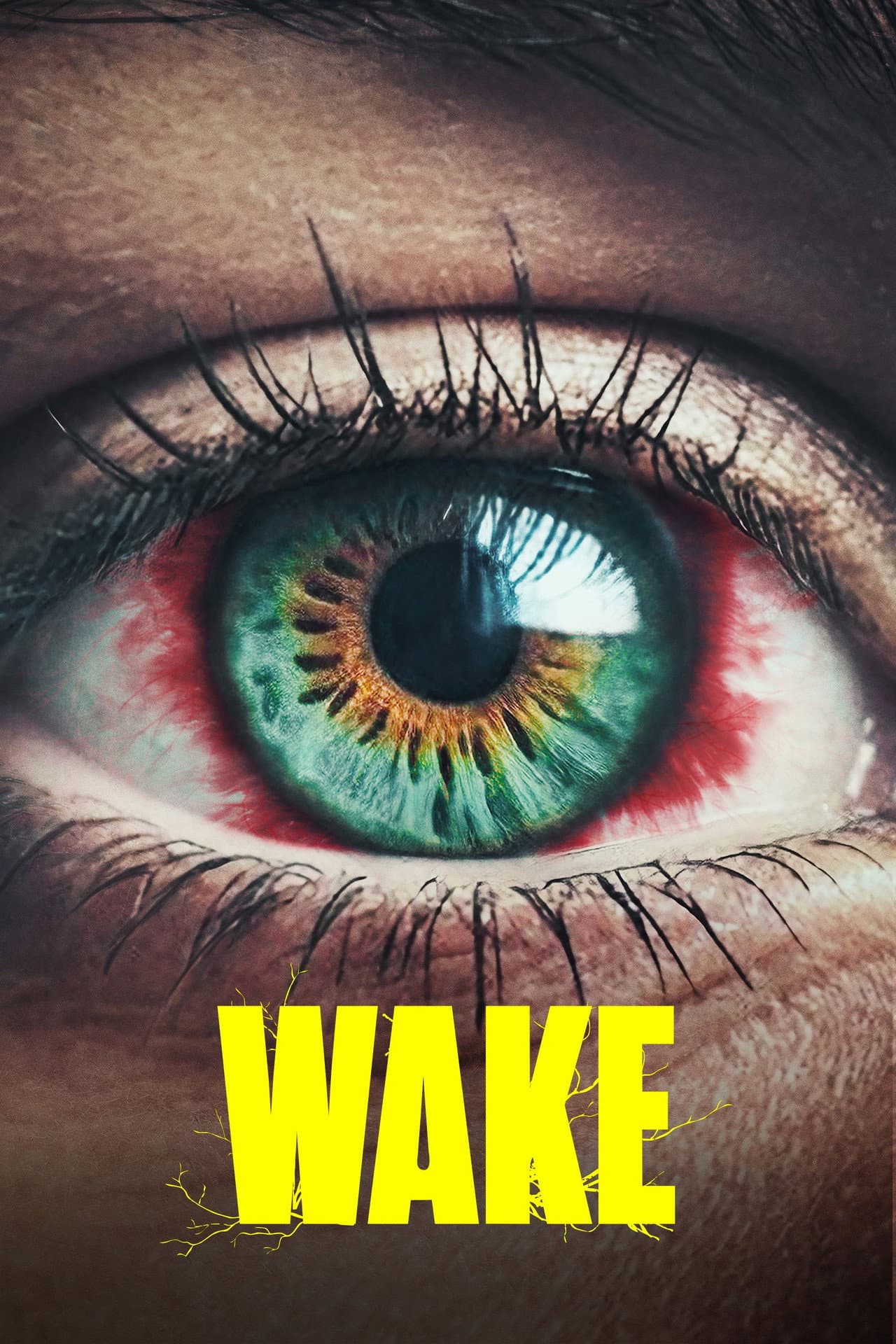 Vaka preview 2