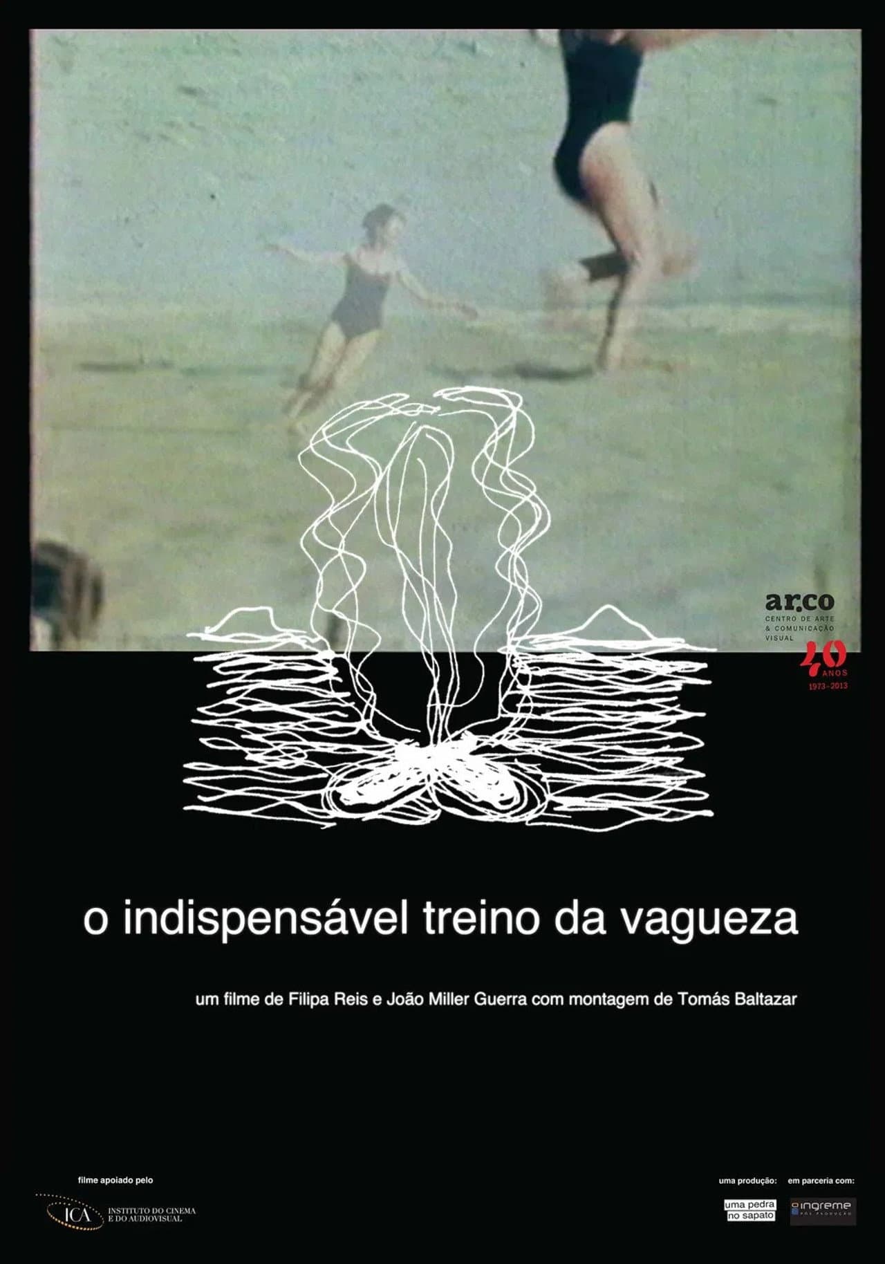 The Indispensable Practice of Vagueness preview 1