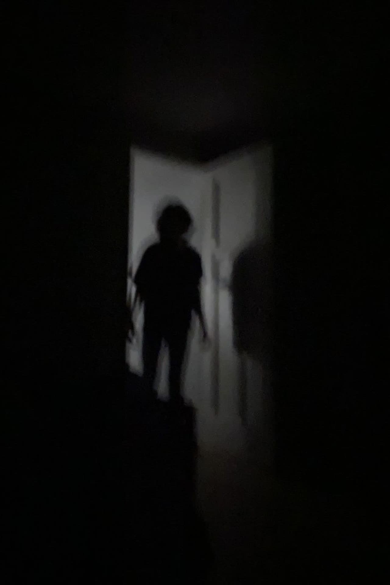 Mimic preview 1