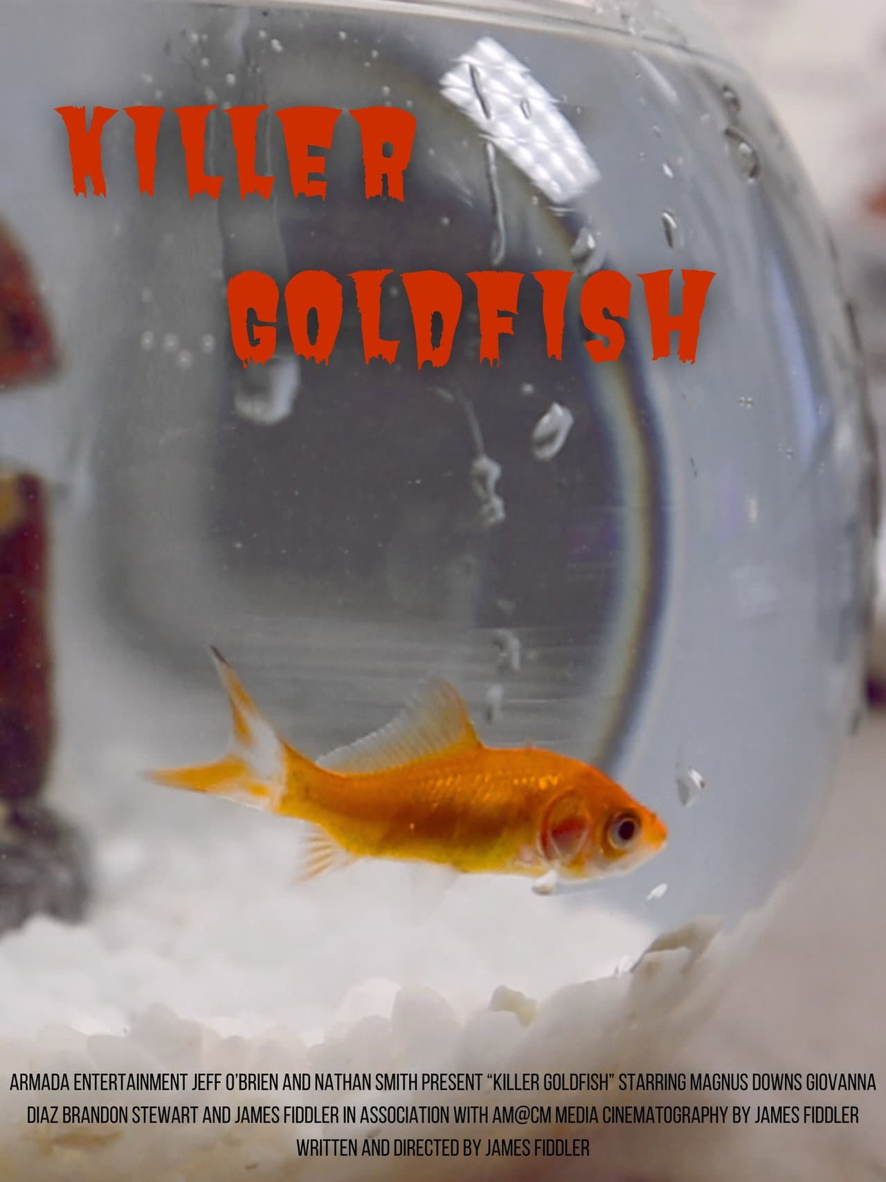 Killer Goldfish preview 2
