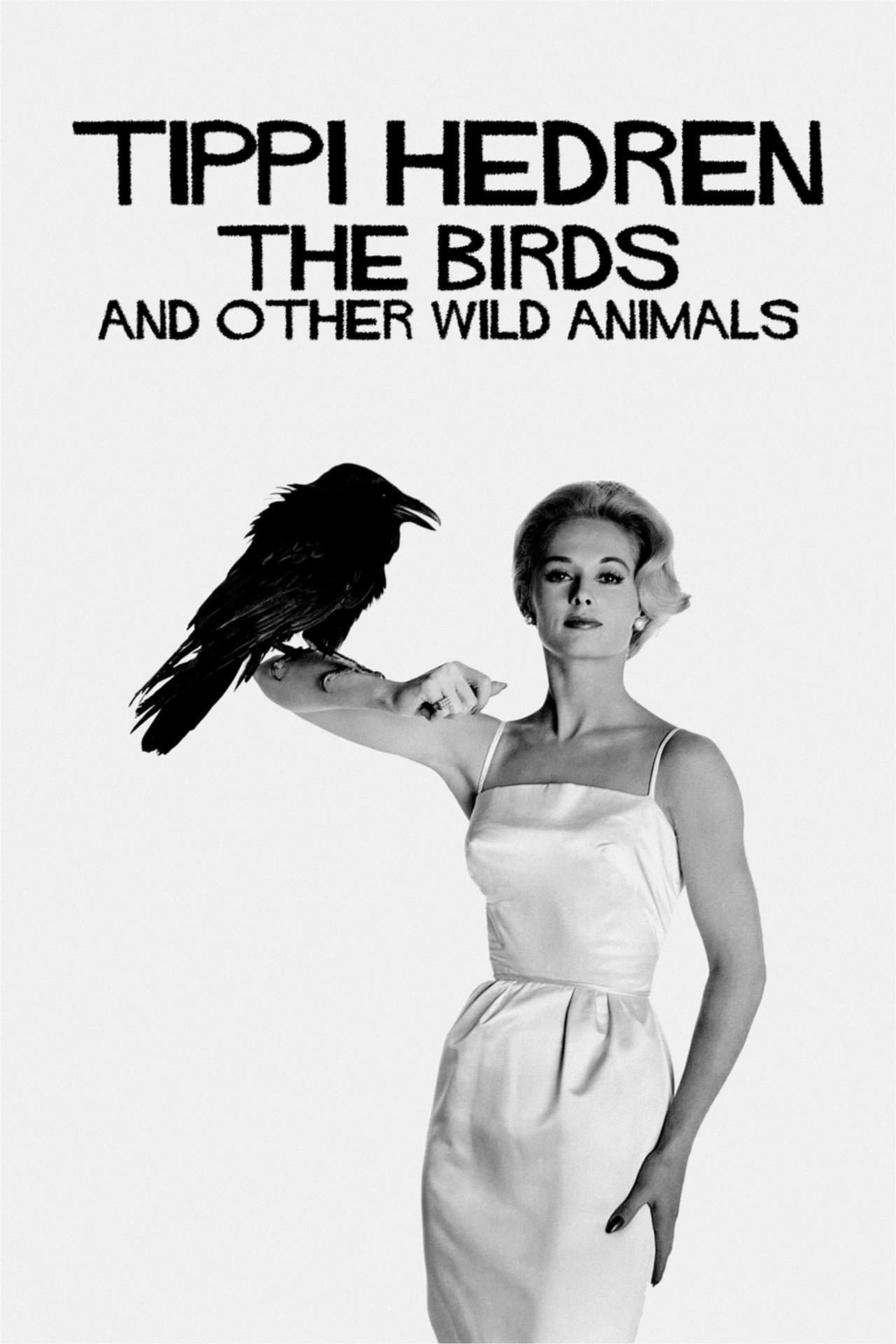 Tippi Hedren: The Birds and Other Wild Animals preview 2