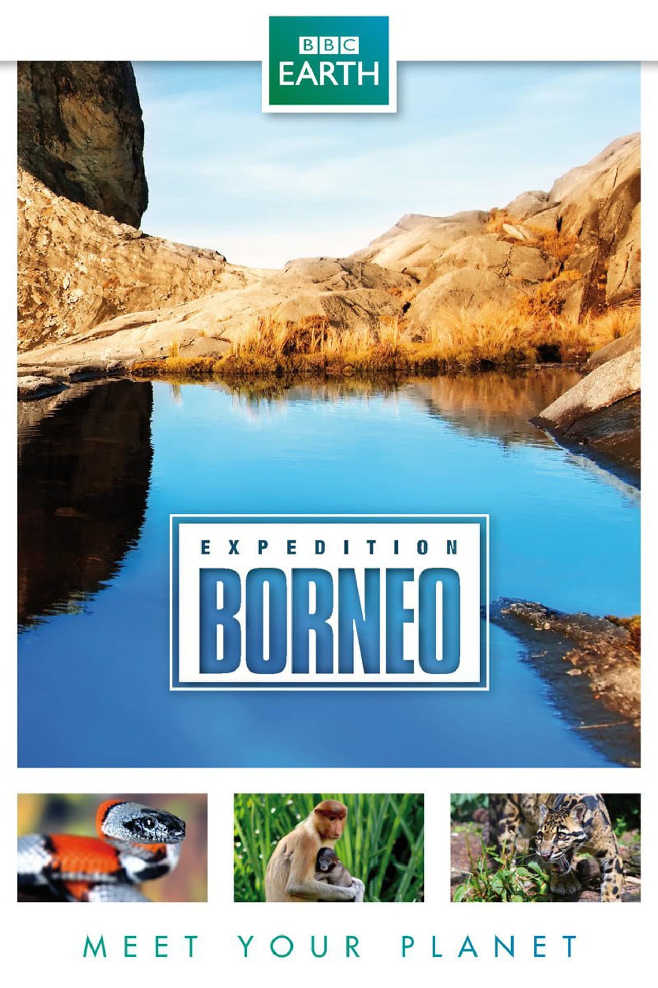 Expedition Borneo preview 2