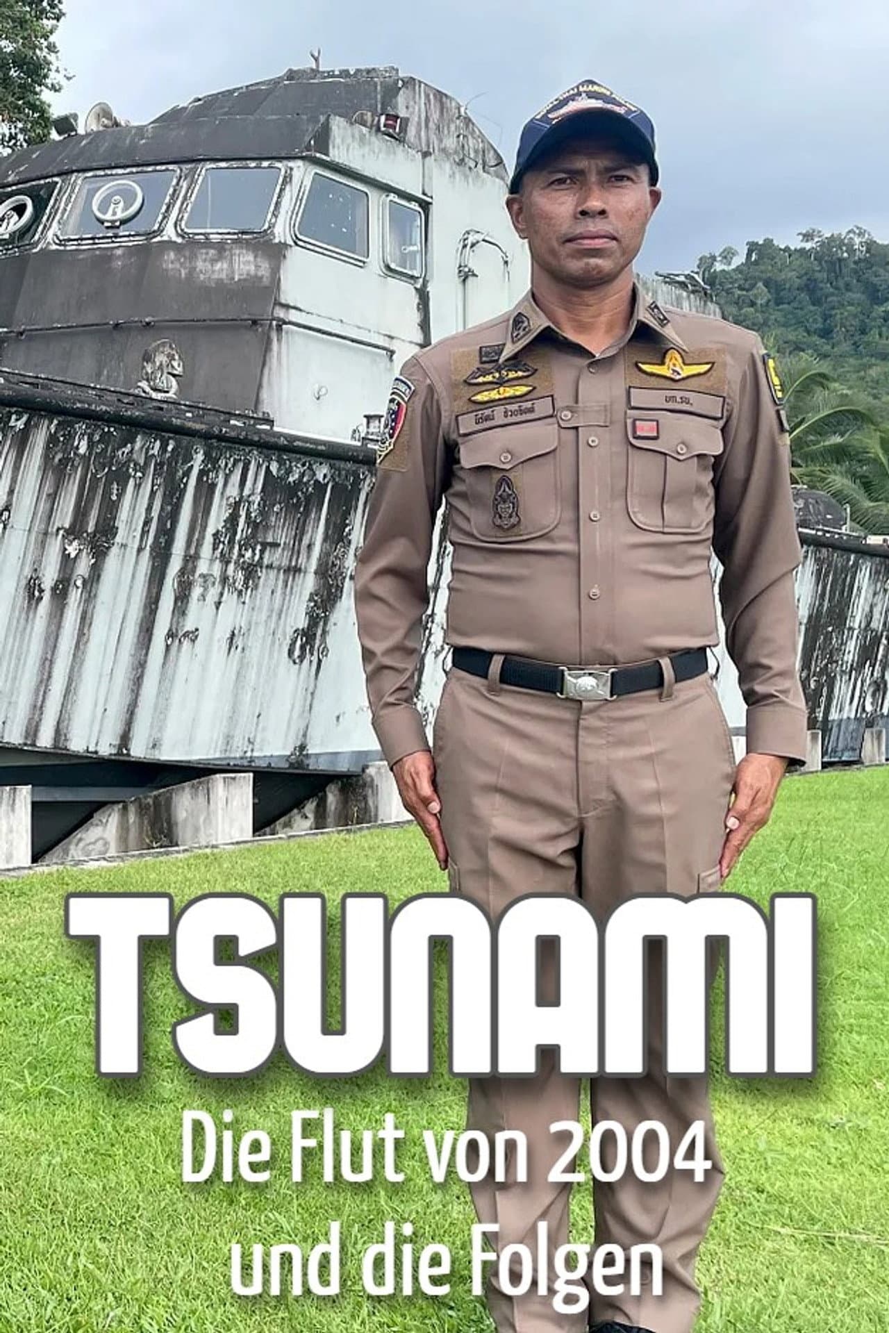 Tsunami - The flood of 2004 and the consequences preview 2