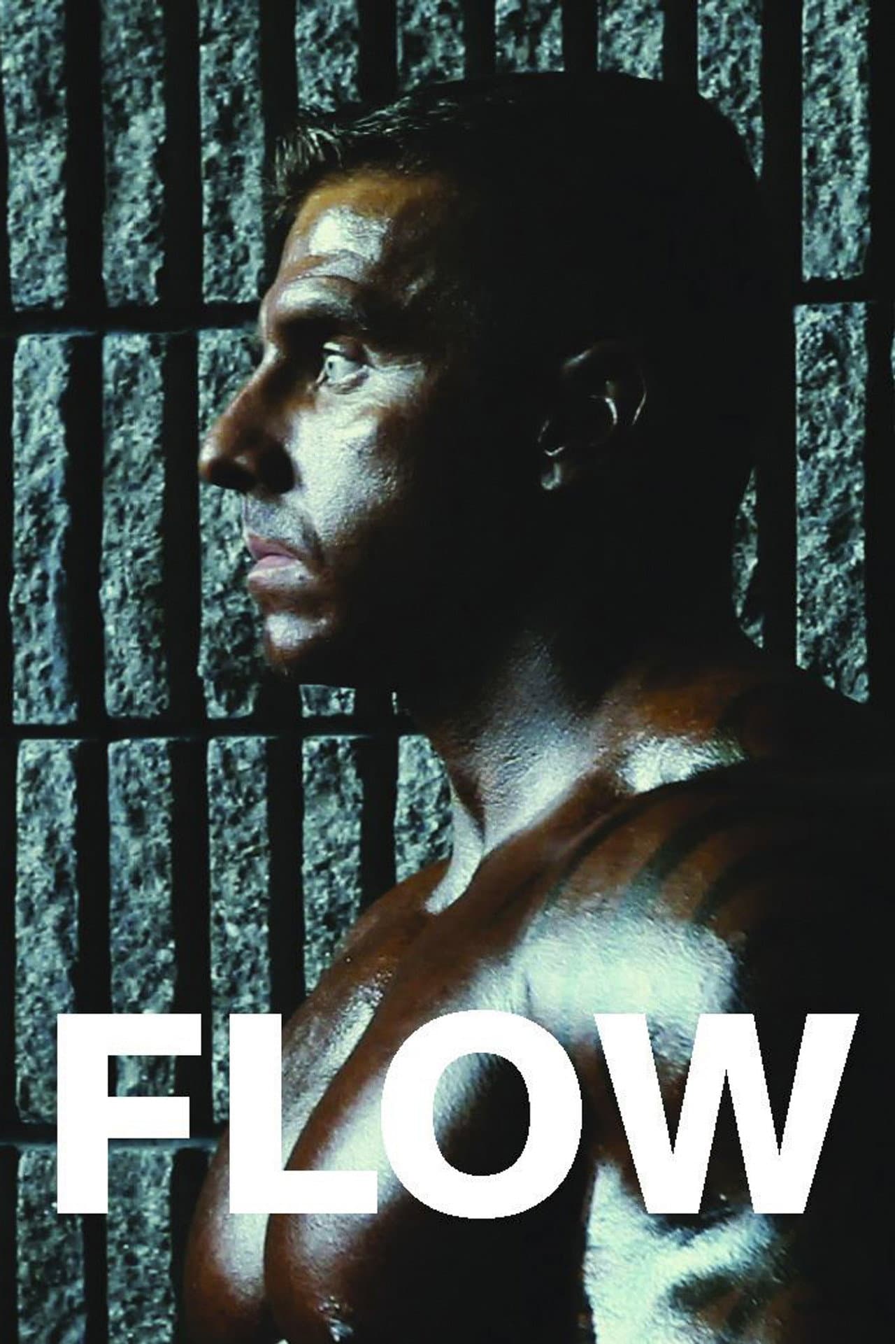 Flow preview 1