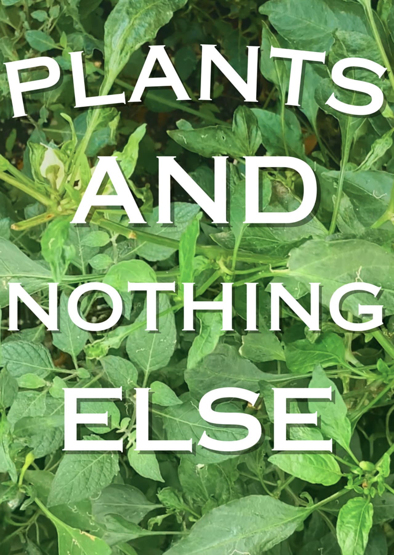 Plants And Nothing Else preview 2