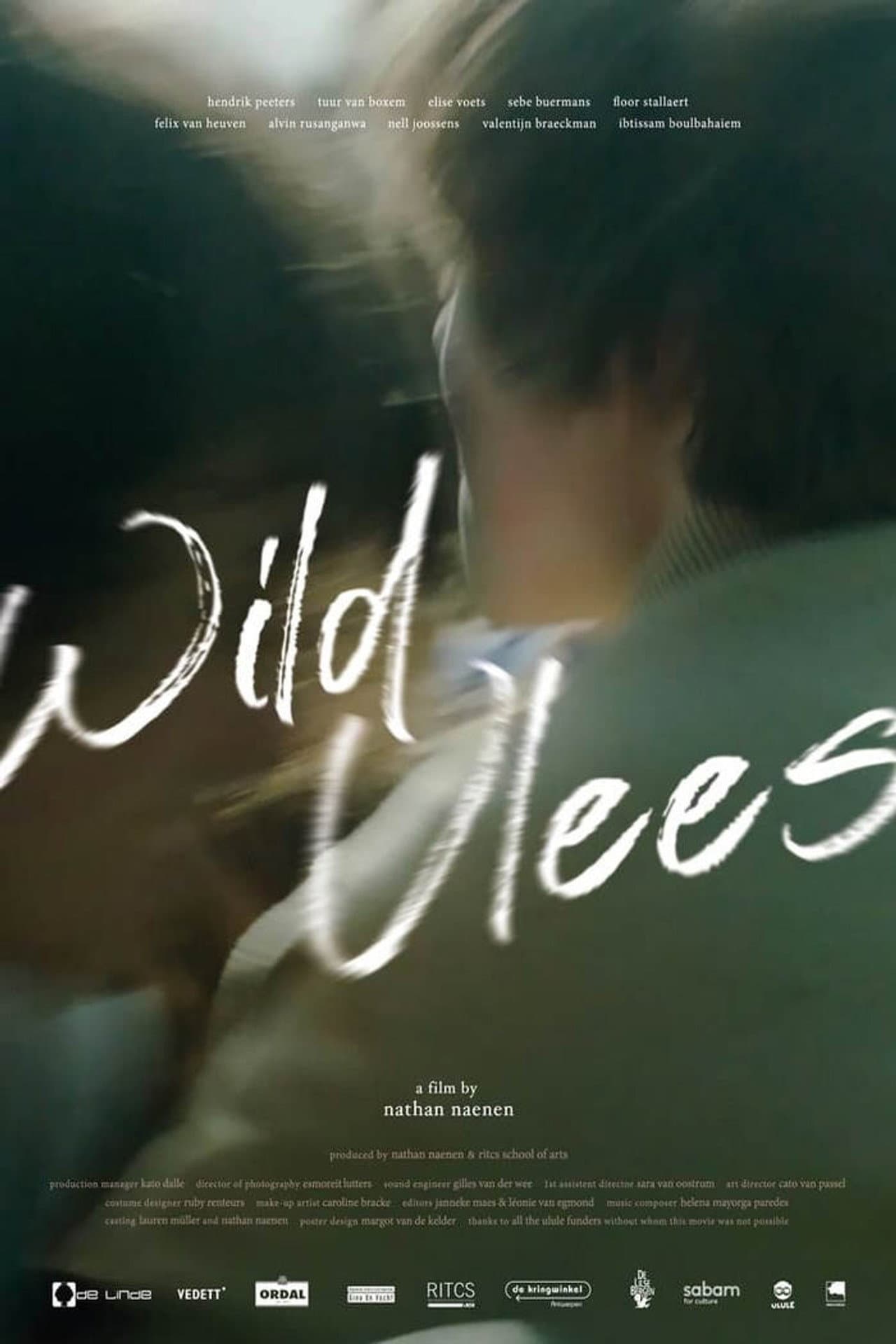 Wild Youth preview 2