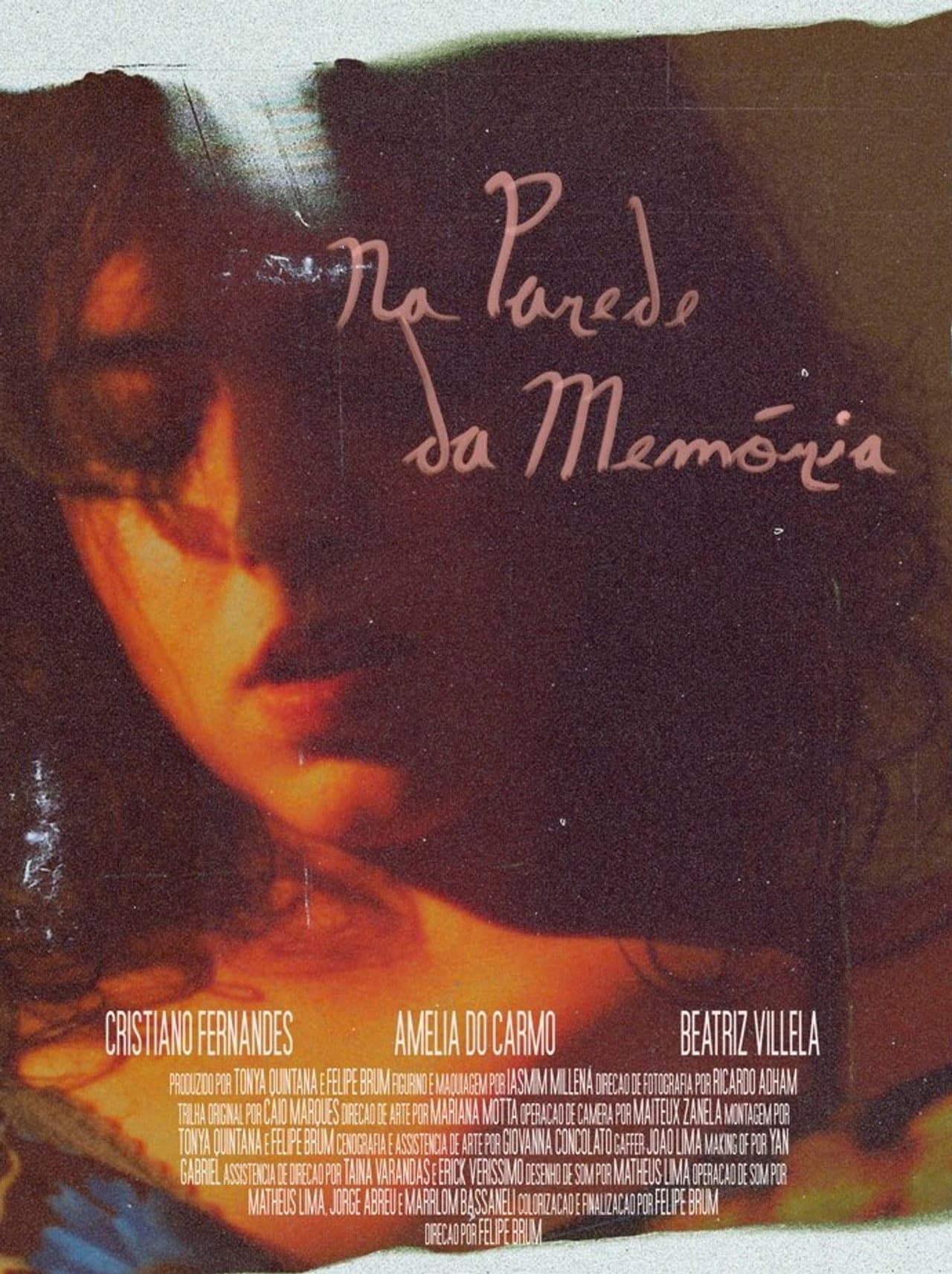Na Parede da Memória preview 2