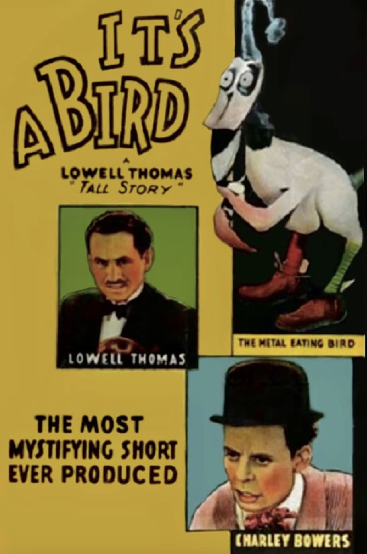It's a Bird preview 2