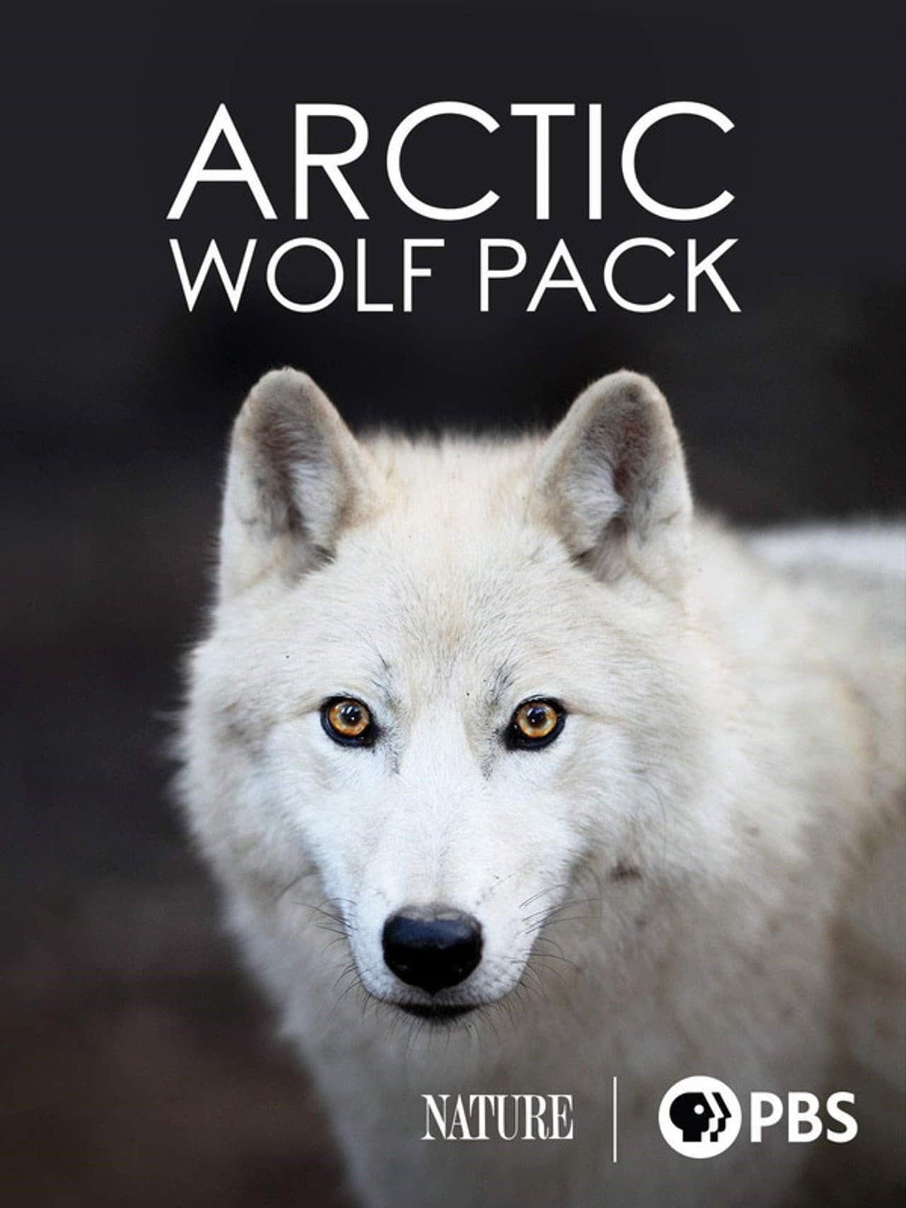 Nature: Arctic Wolf Pack preview 1
