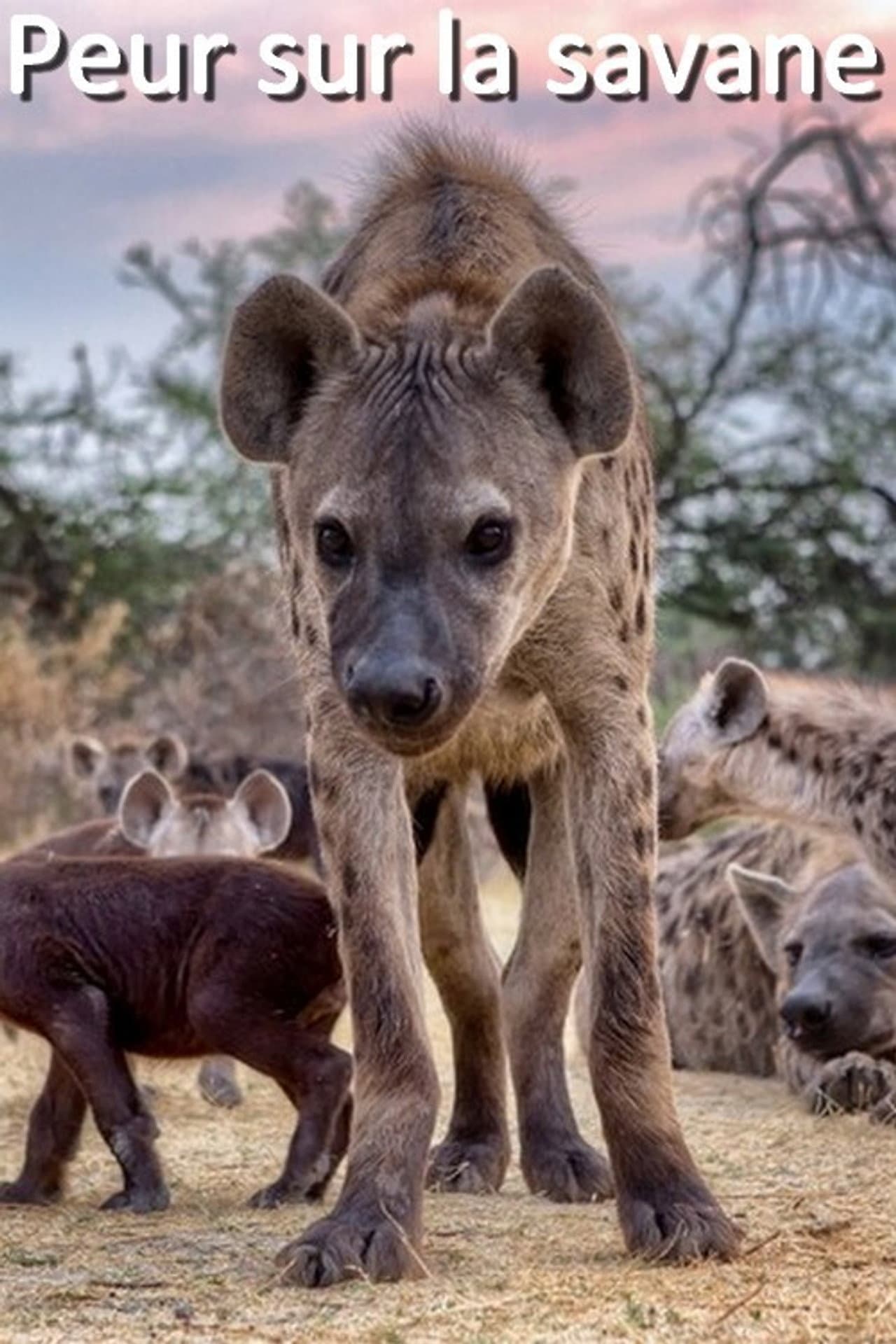 Peur sur la savane preview 2