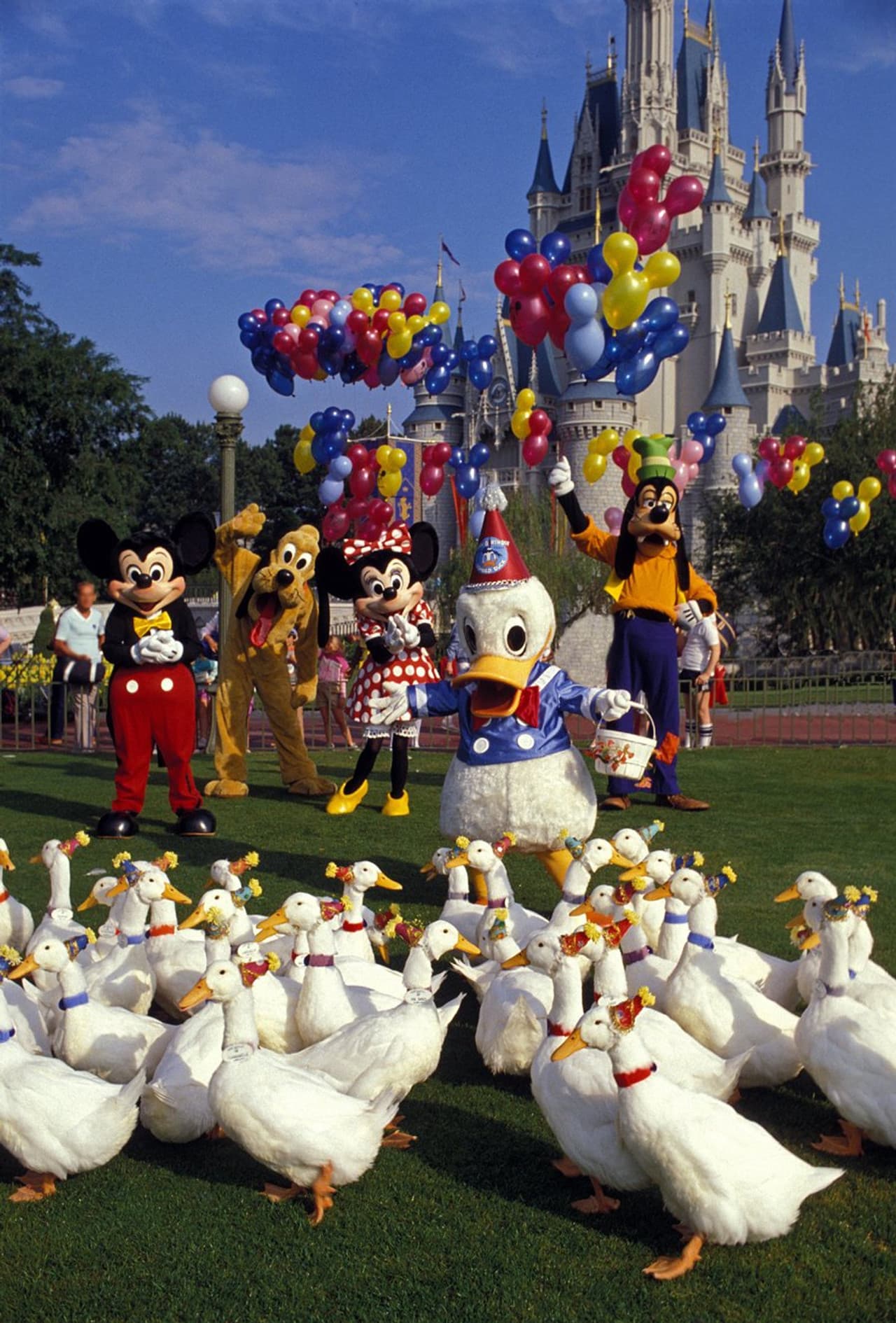 Donald Duck's 50th Birthday preview 2