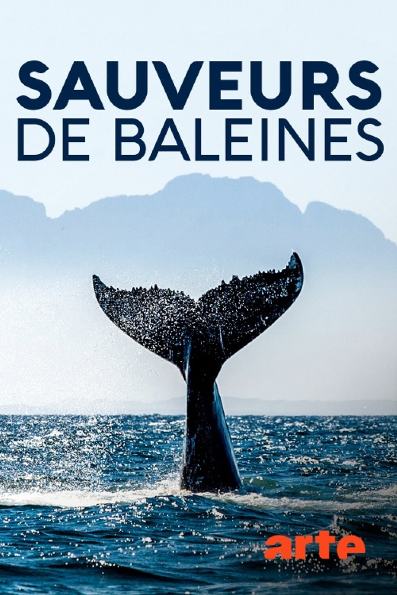 Island Heroes: The Whale Rescuers of Campobello Island preview 1