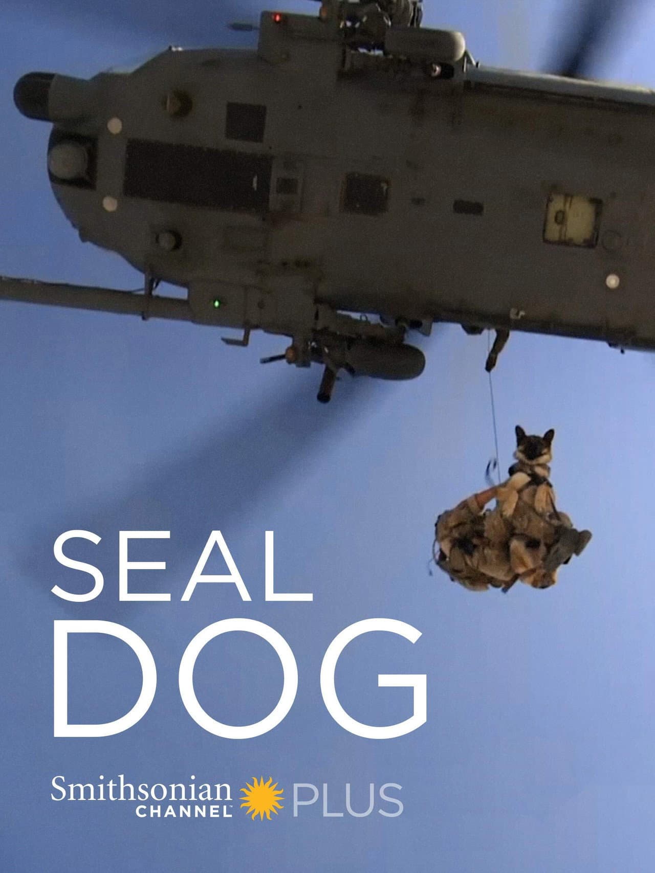 SEAL Dog preview 2