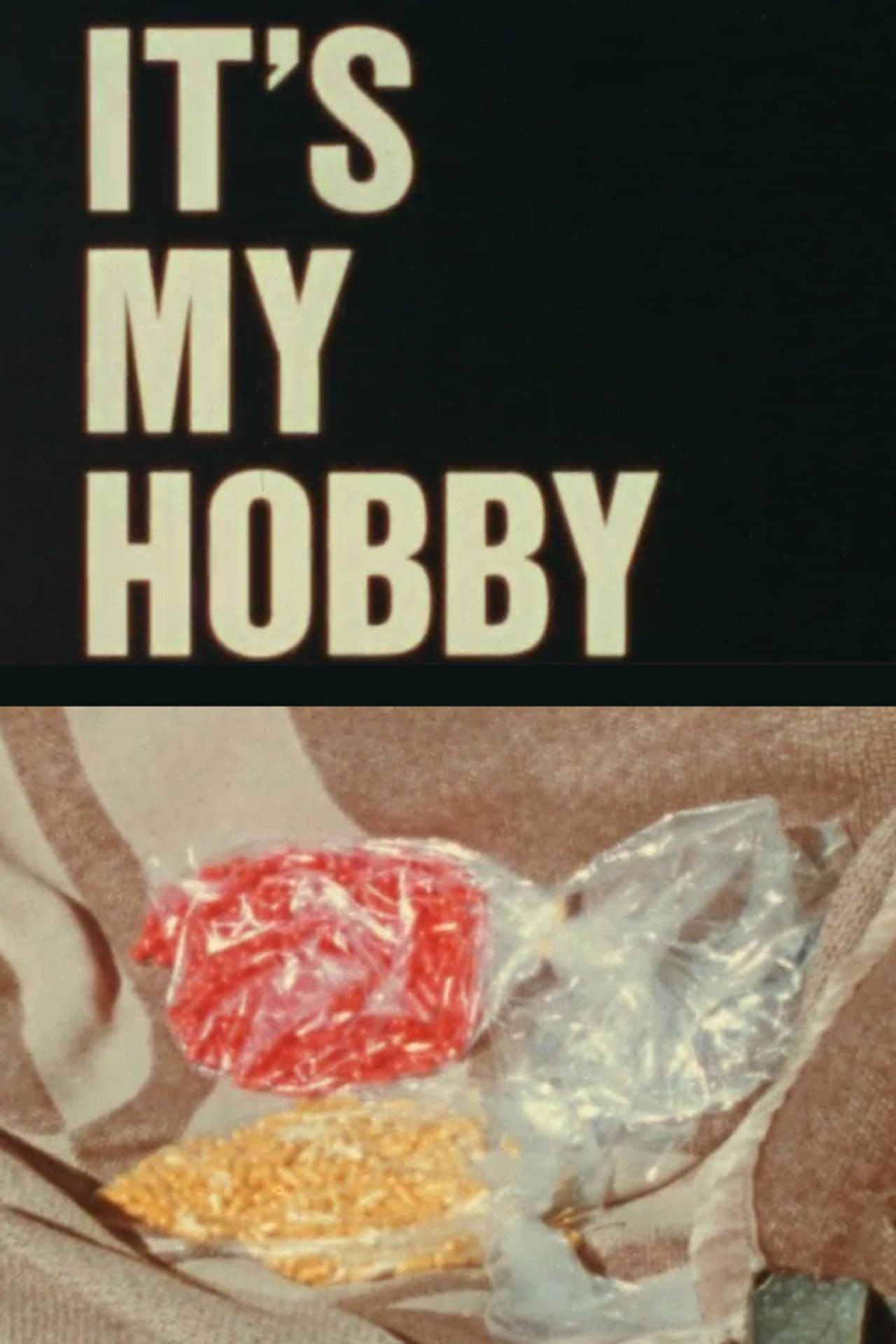 It's My Hobby preview 1