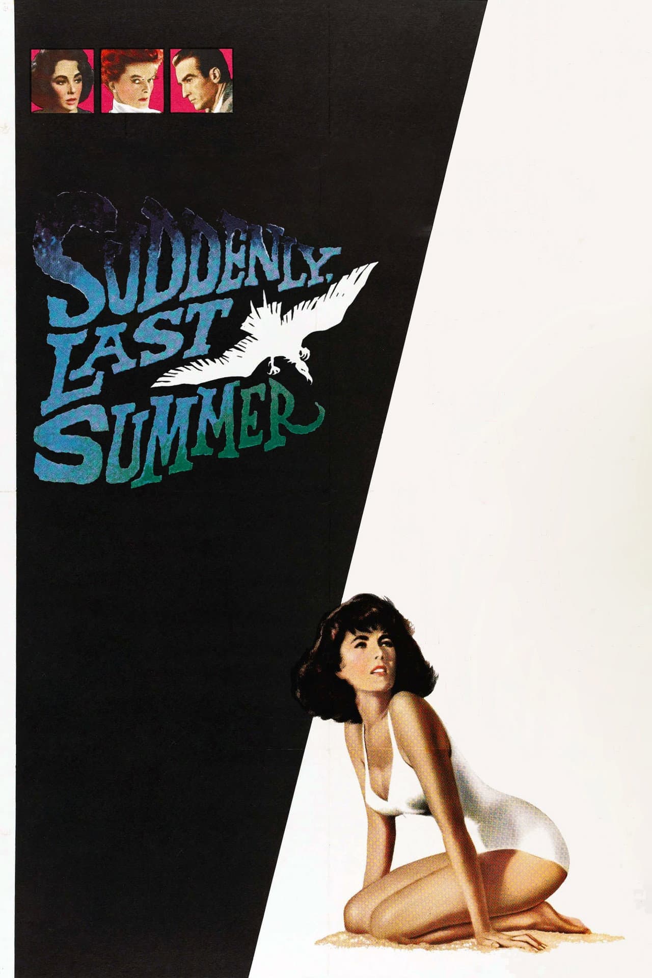 Suddenly, Last Summer preview 2
