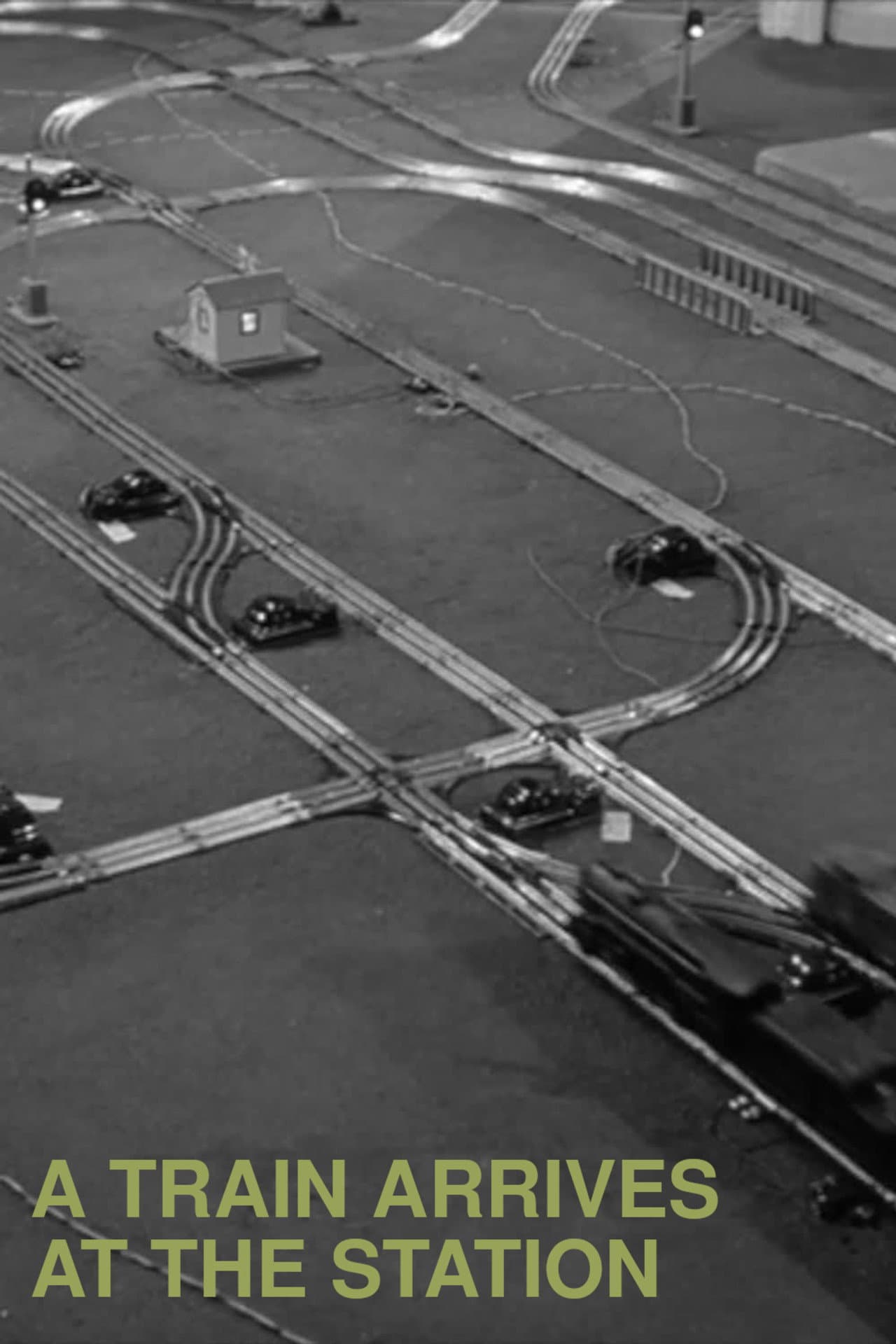 A Train Arrives at the Station preview 1