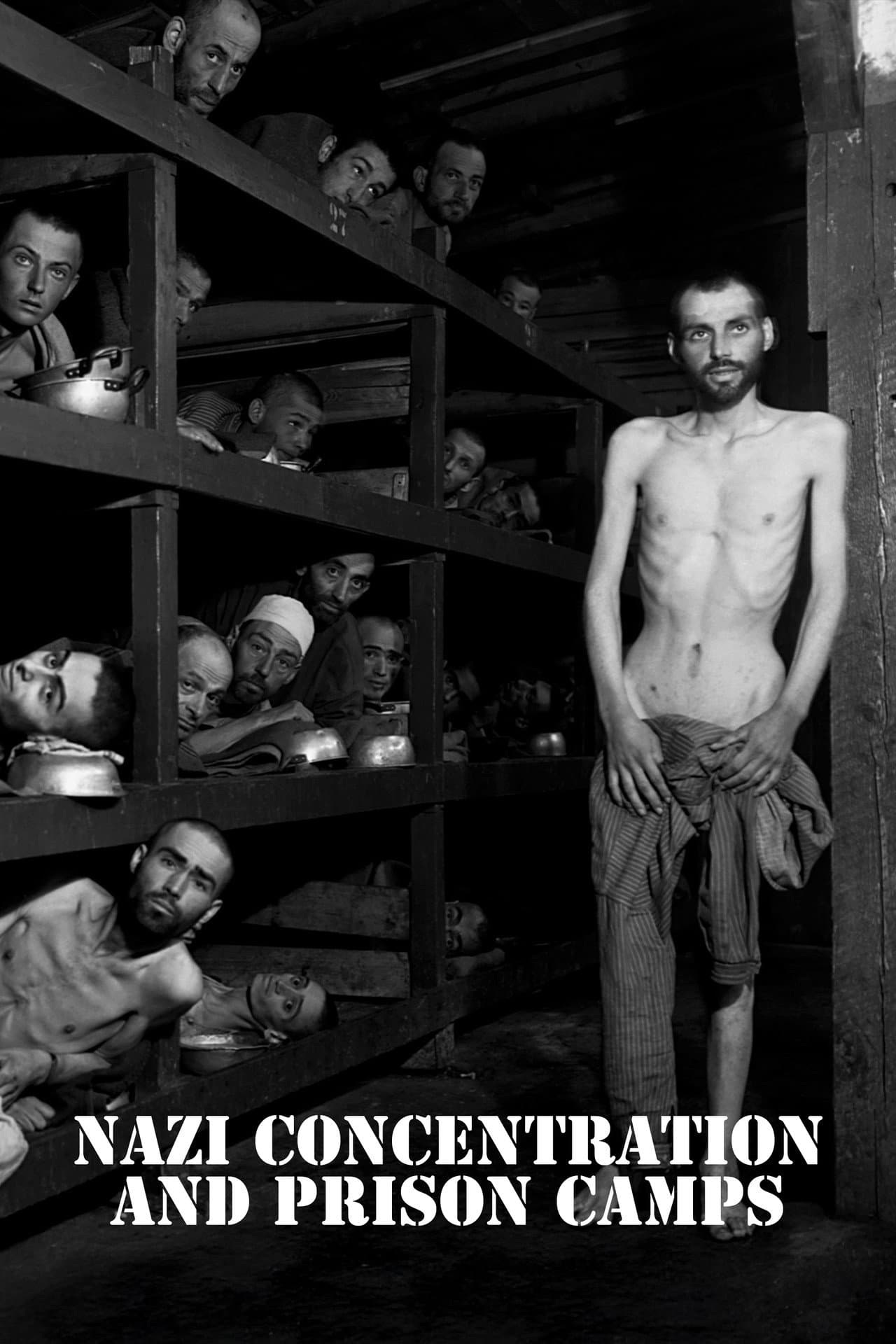 Nazi Concentration Camps preview 2