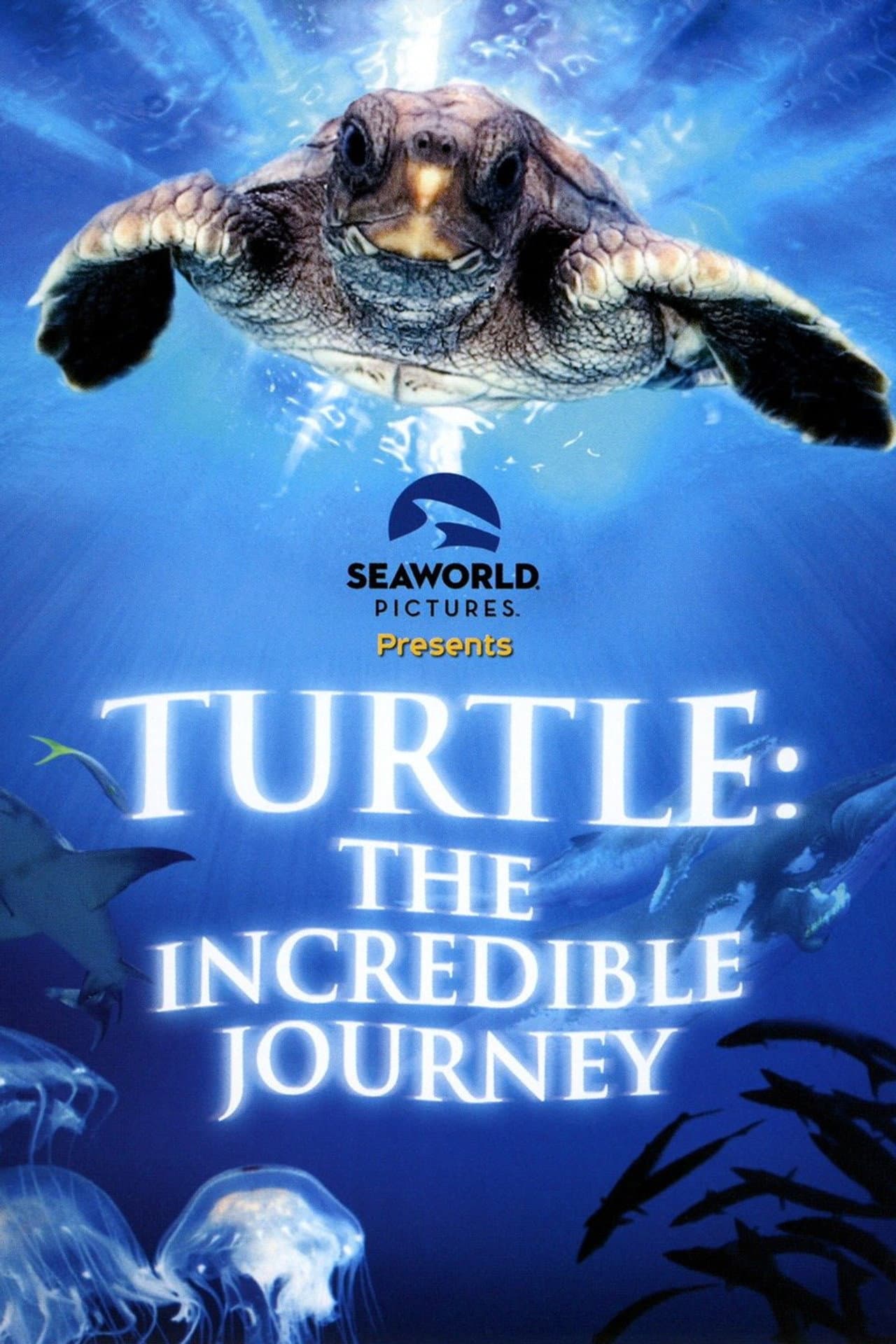 Turtle: The Incredible Journey preview 2